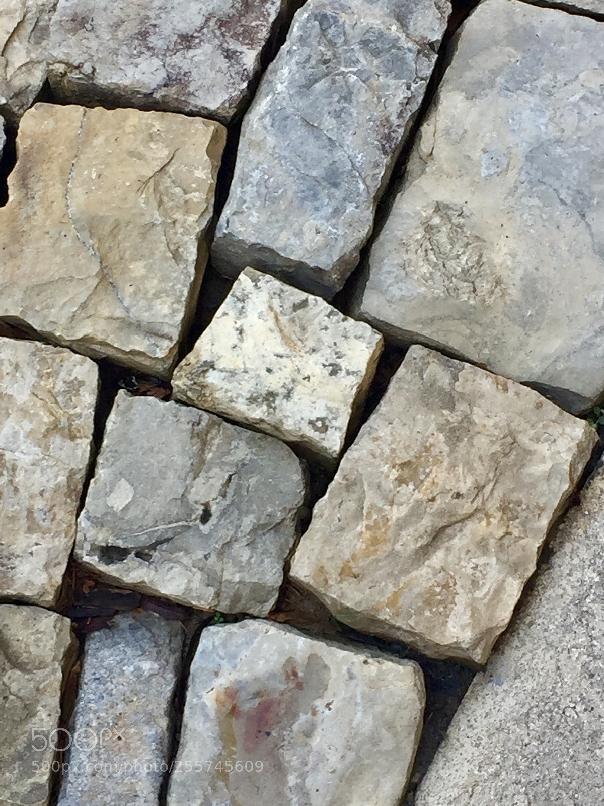 Apple iPhone 6 sample photo. Geometry 101... photography