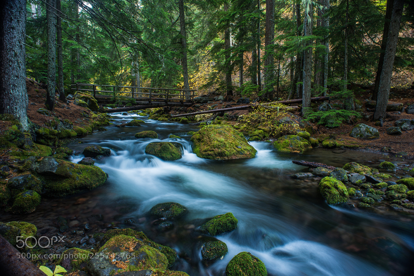 Nikon D600 sample photo. Mt hood national scenic photography