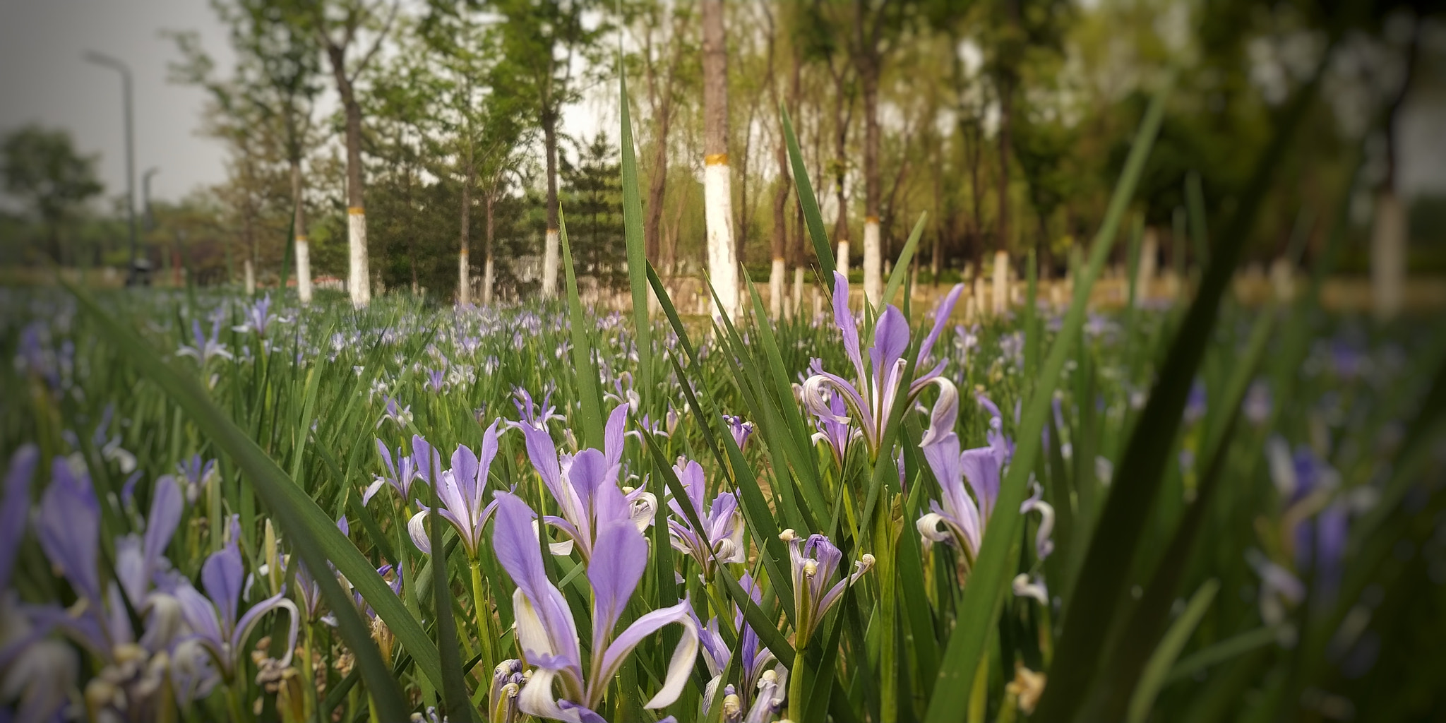 Xiaomi MIX 2 sample photo. 10 photography