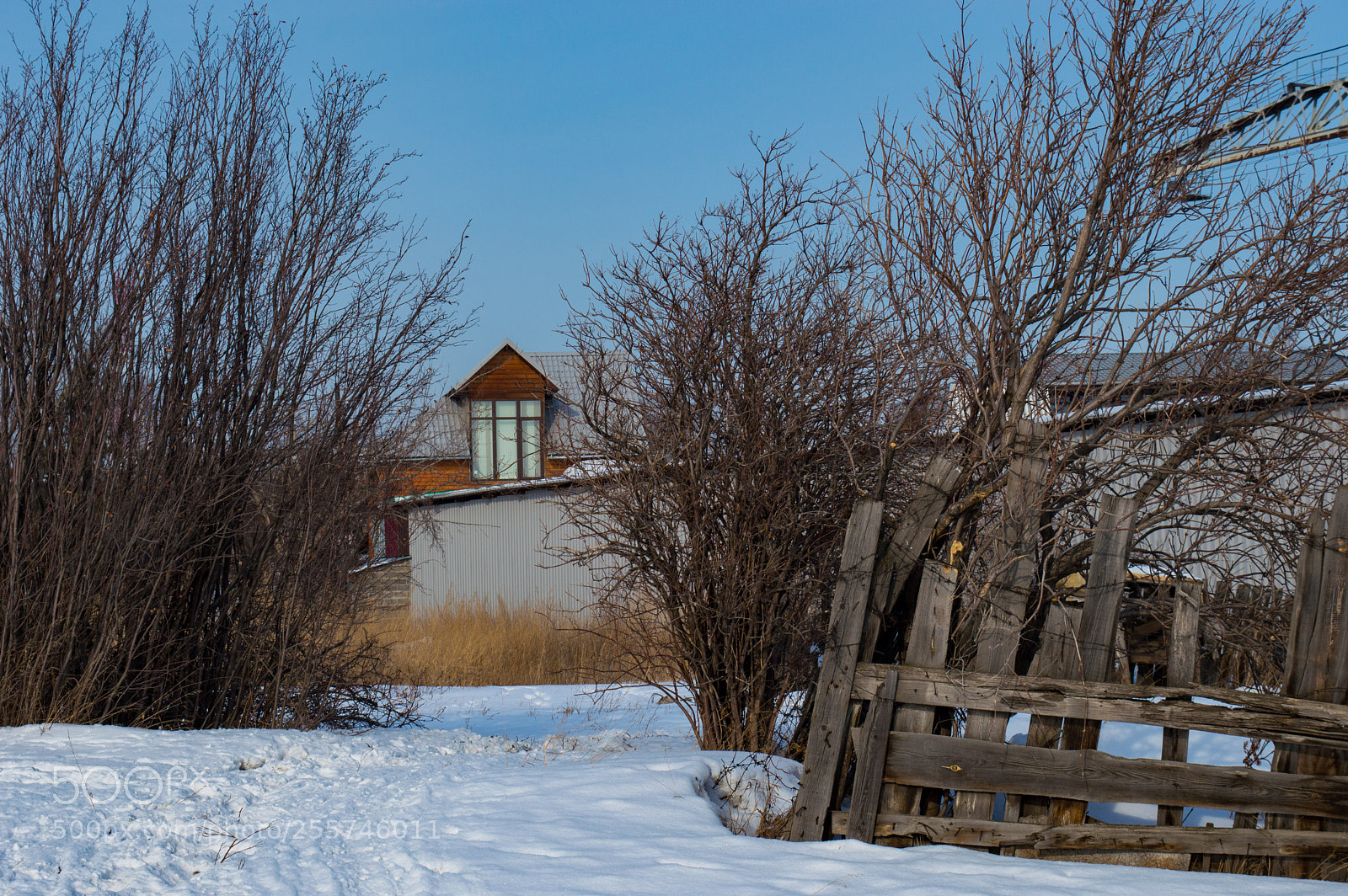 Nikon D3200 sample photo. The fence photography