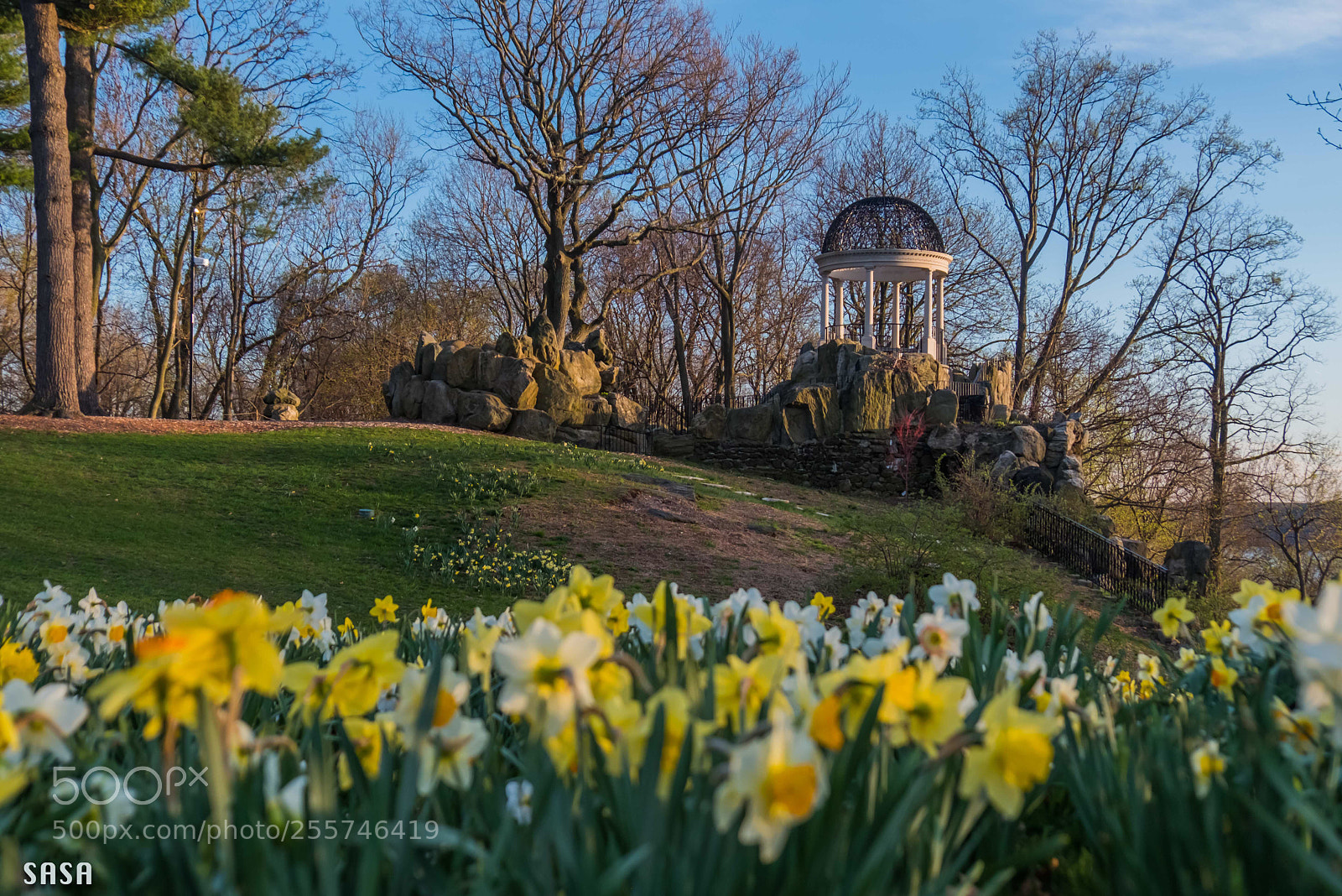 Fujifilm X-Pro2 sample photo. Spring evening  photography