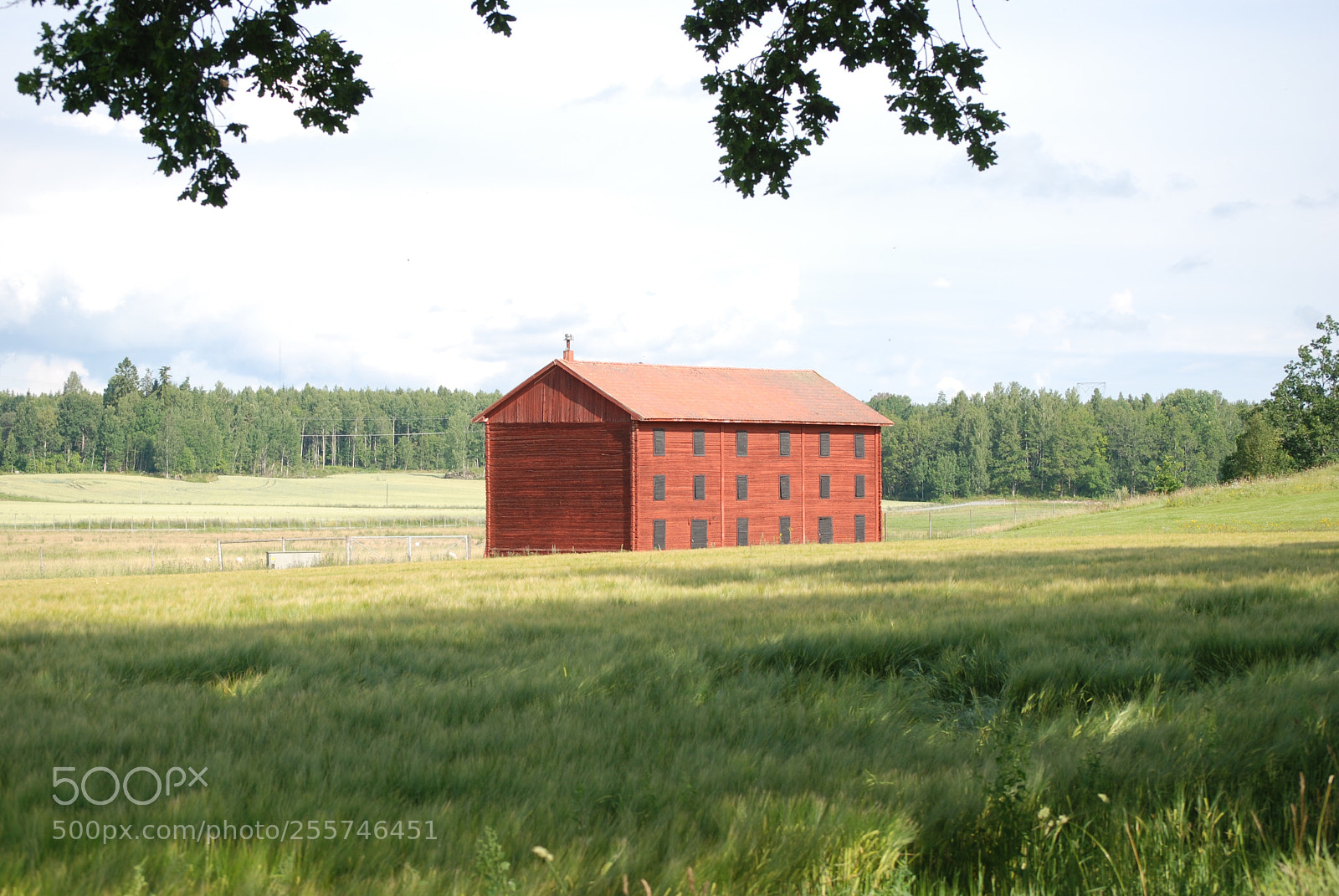 Nikon D80 sample photo. The big barn photography
