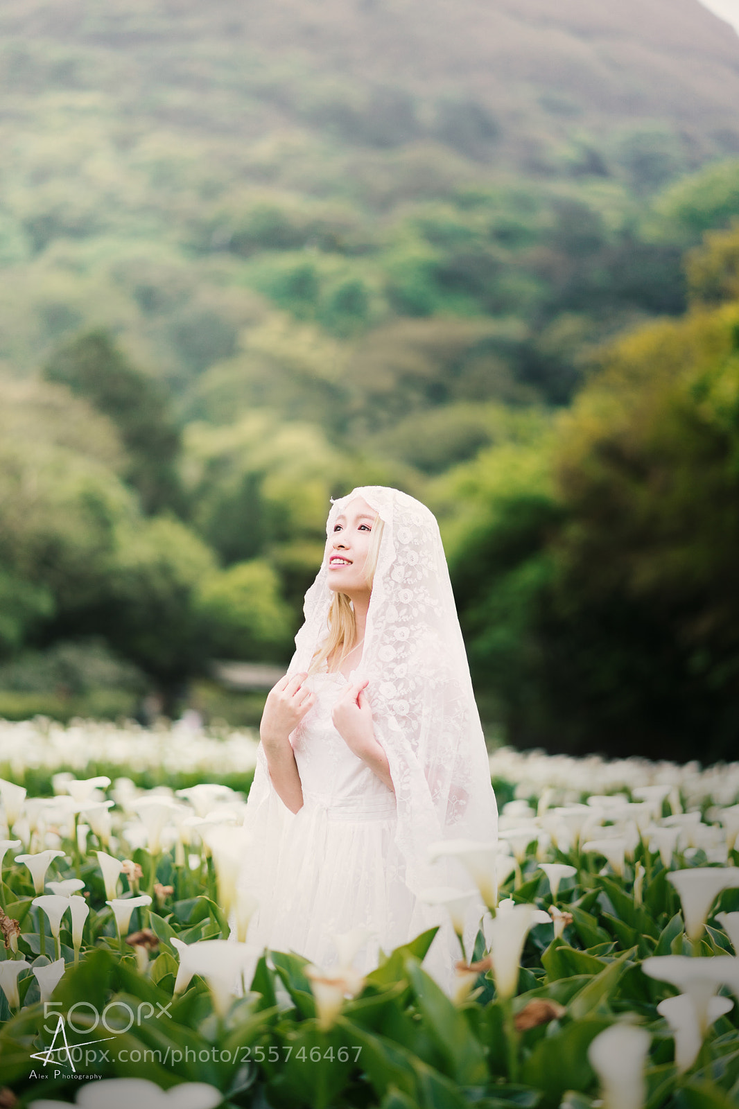 Sony a7 II sample photo. _dsc2127_9.jpg photography
