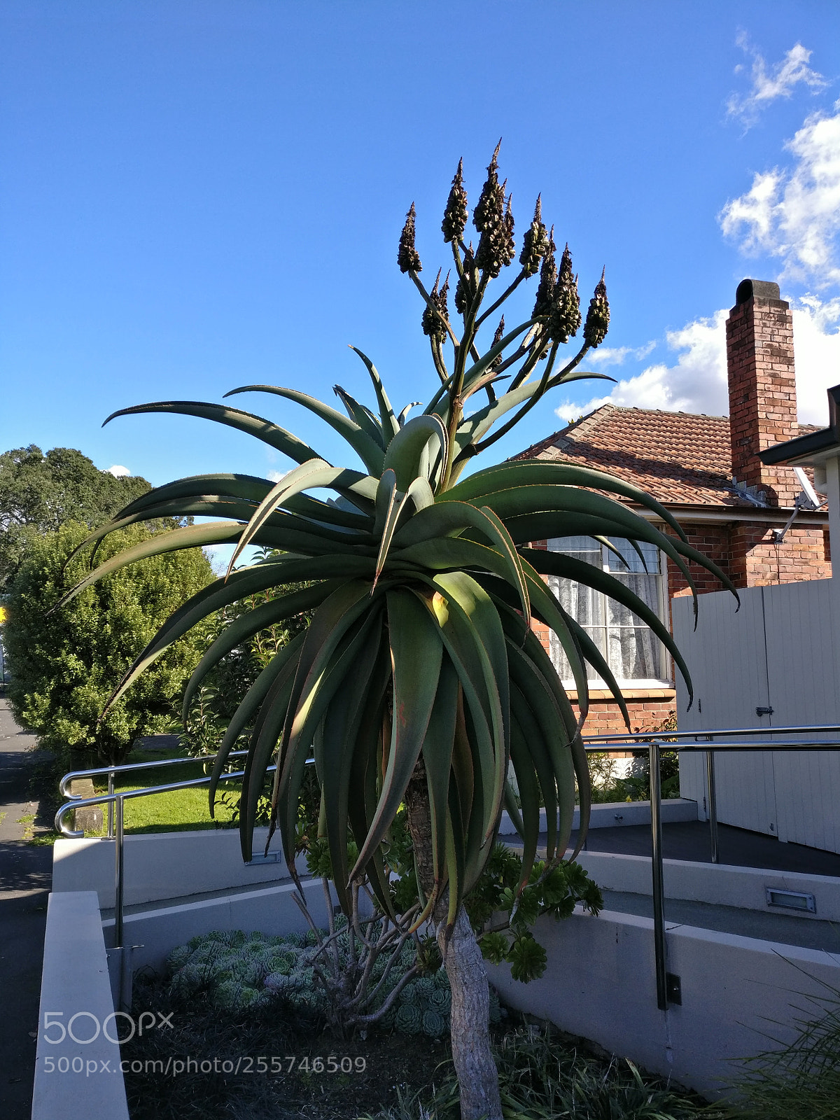 OnePlus A3003 sample photo. Img_20170823_145828.jpg photography