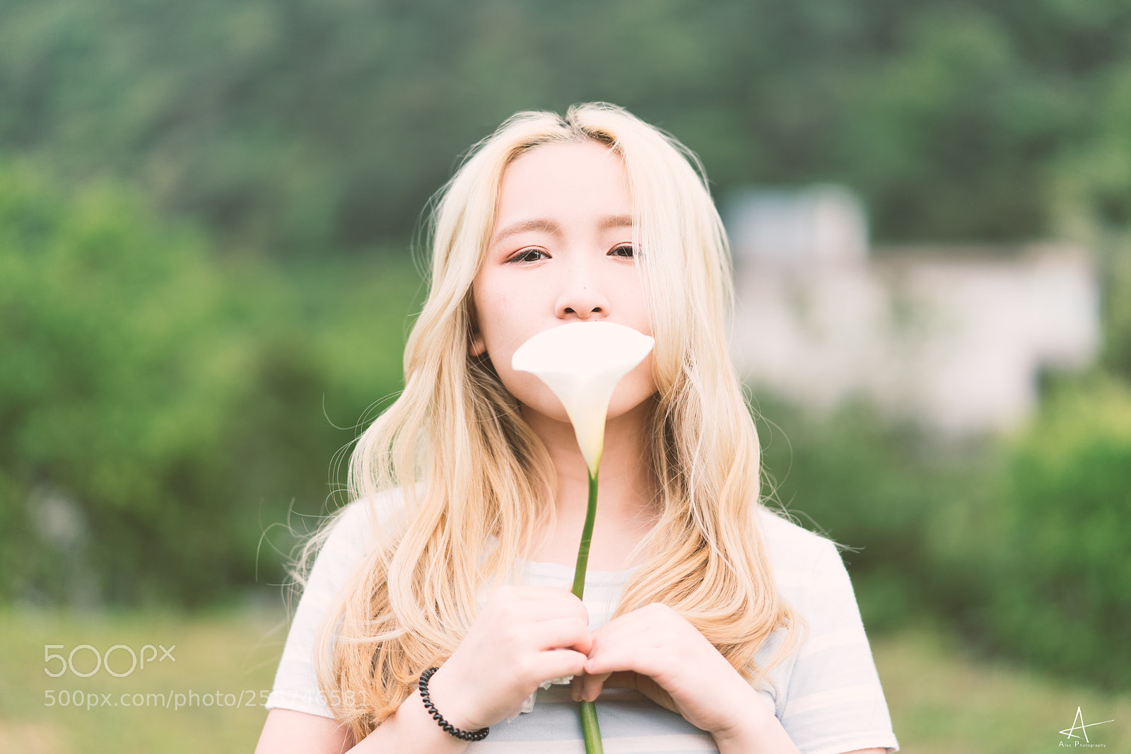 Sony a7 II sample photo. Dsc photography