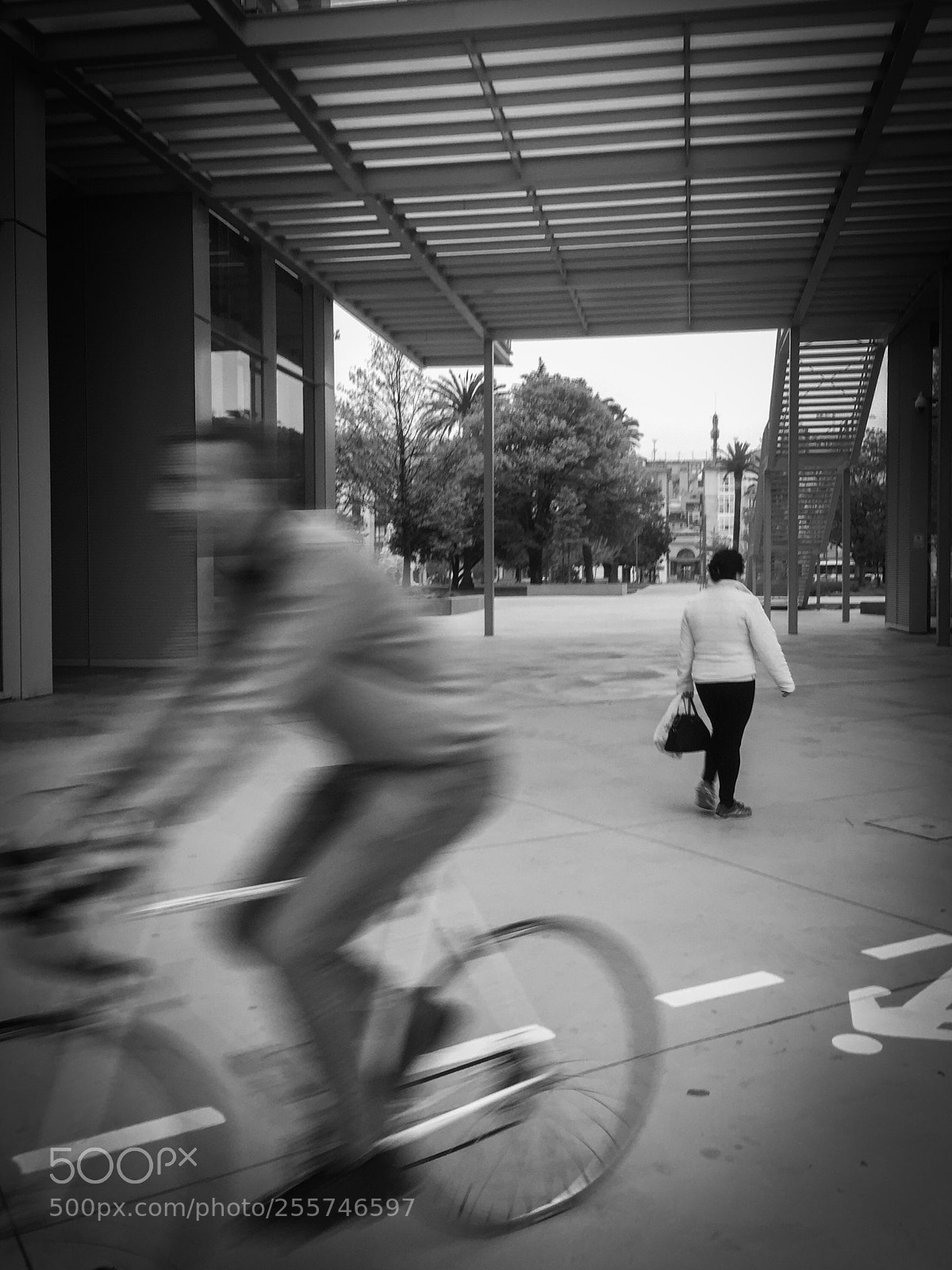 Apple iPhone 6 sample photo. Blurb cyclist  photography