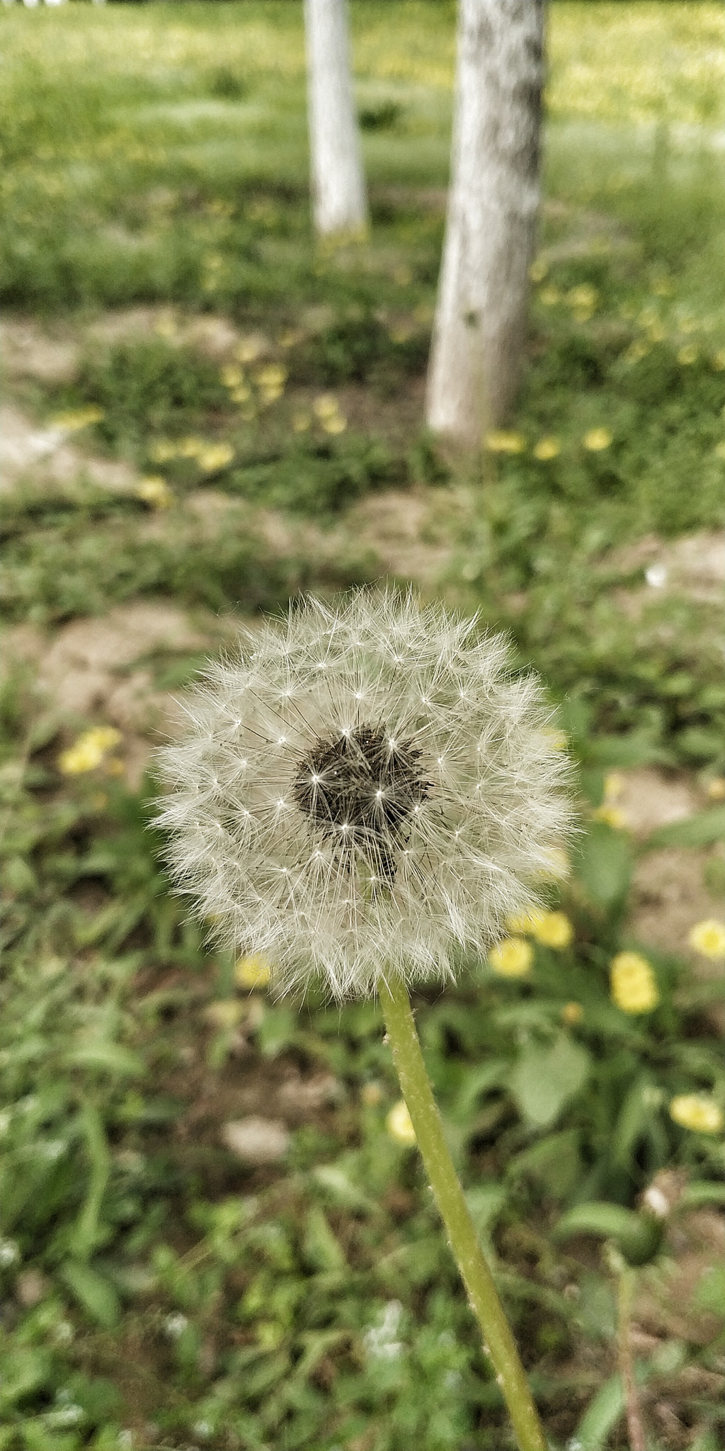 Xiaomi MIX 2 sample photo. 13 photography