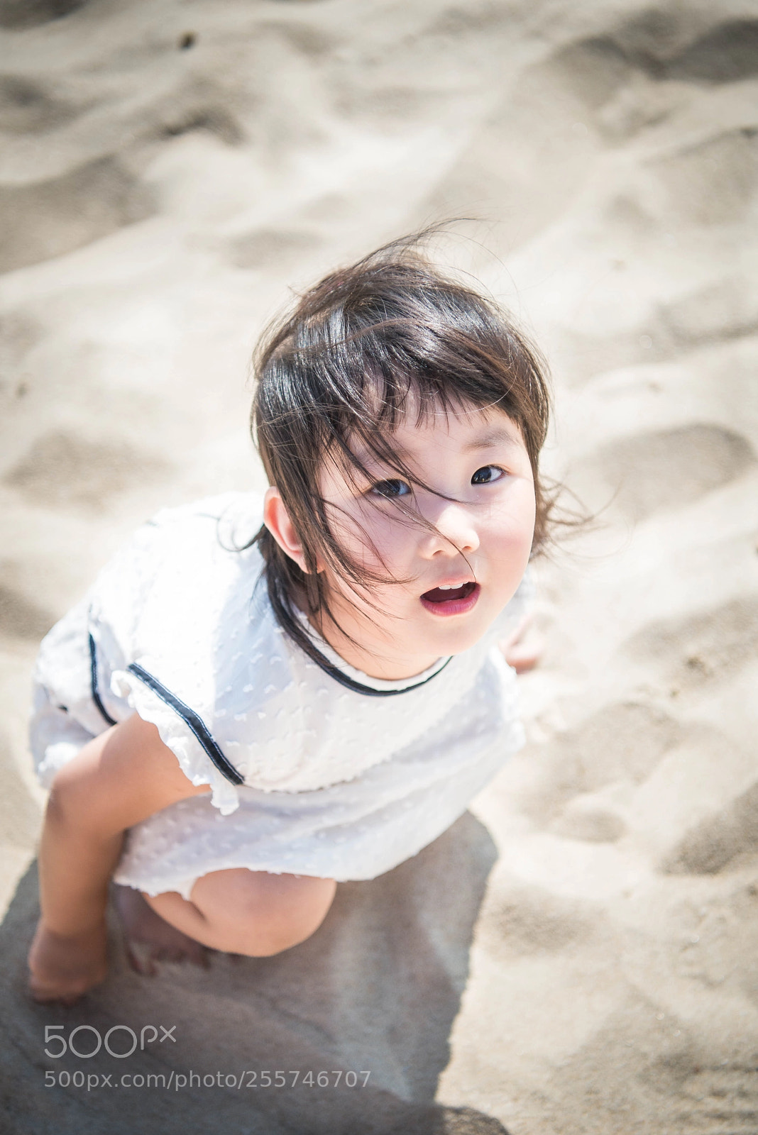 Nikon D800E sample photo. Untitled photography