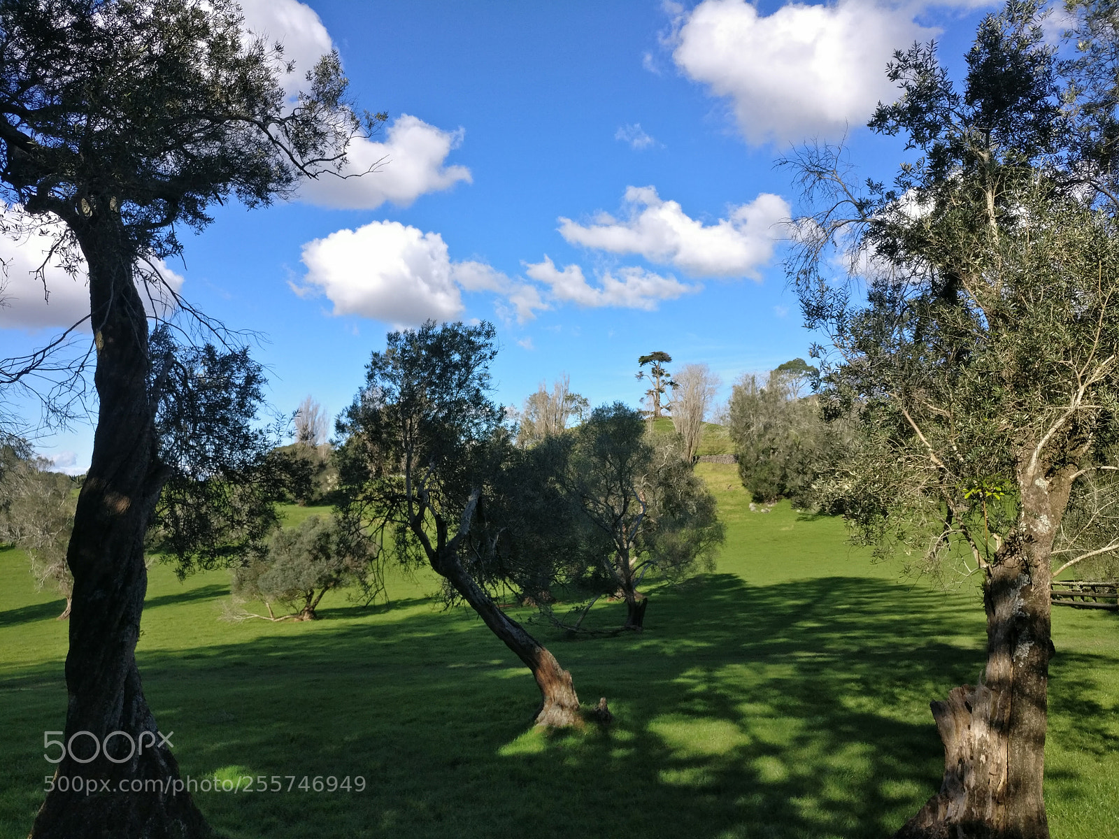 OnePlus A3003 sample photo. Img_20170823_151317.jpg photography