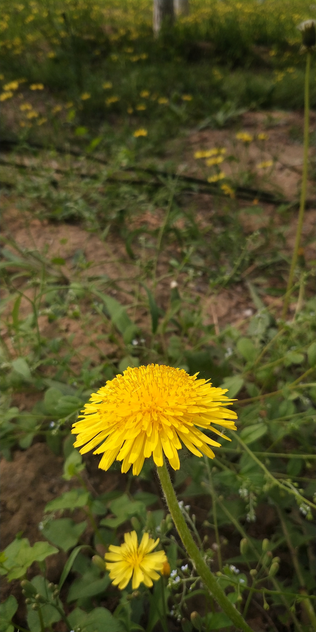 Xiaomi MIX 2 sample photo. 14 photography