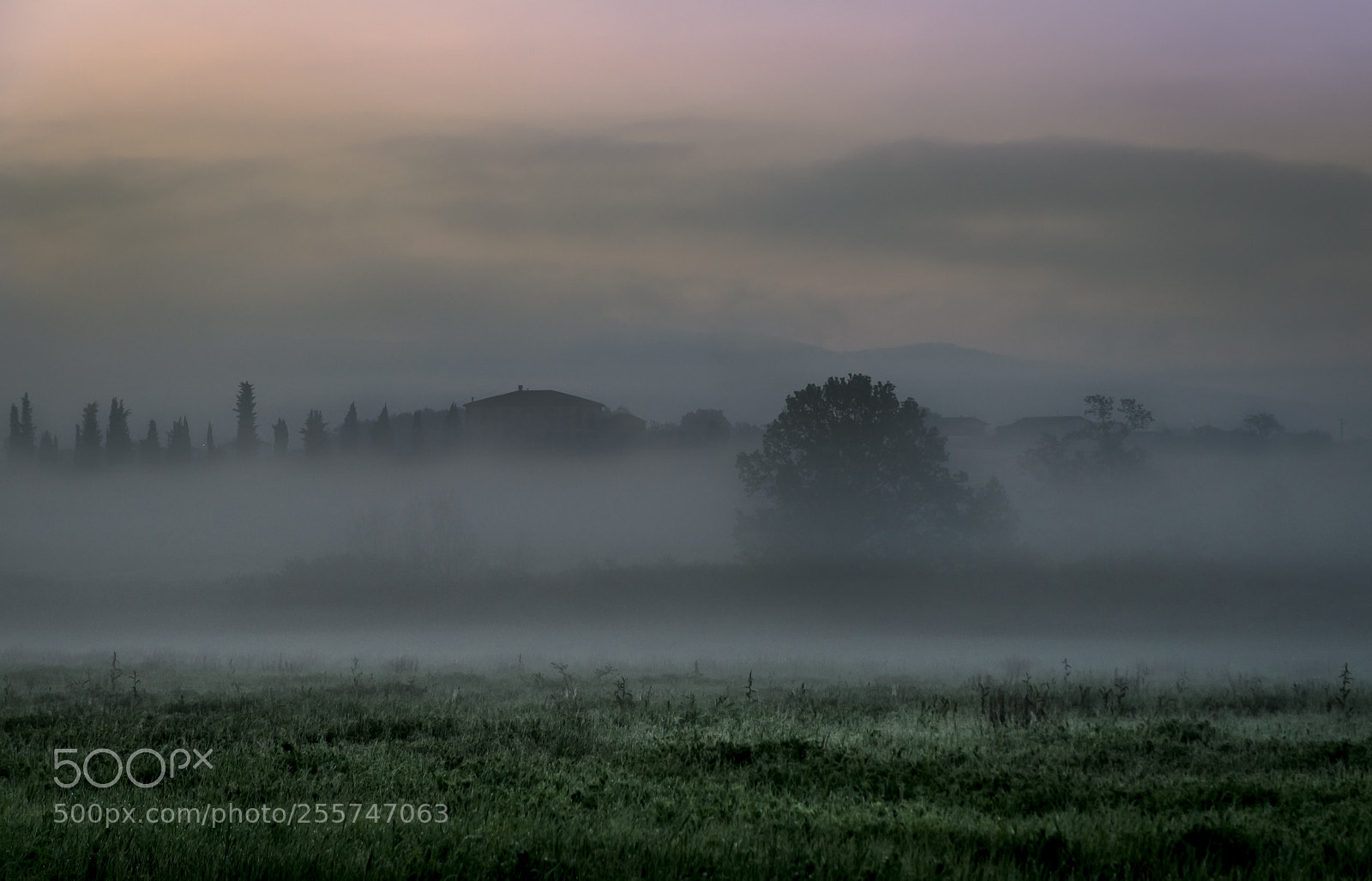 Nikon D7000 sample photo. Padule di fucecchio photography