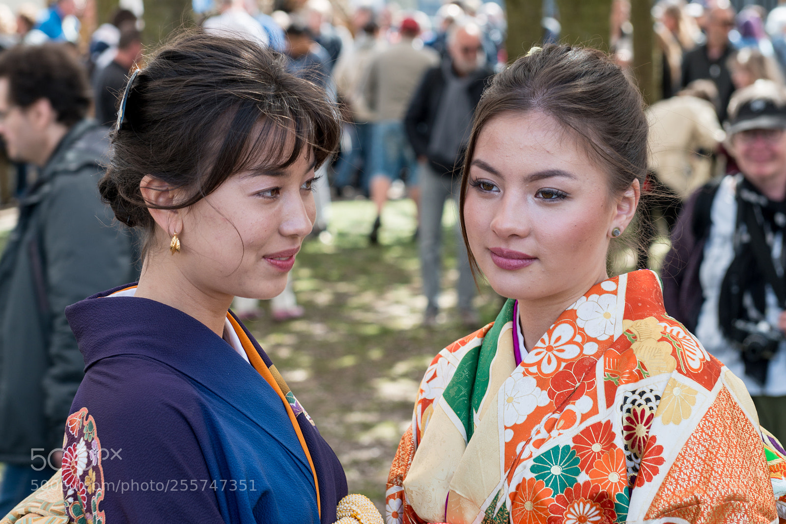 Nikon D800 sample photo. Sakura festival photography