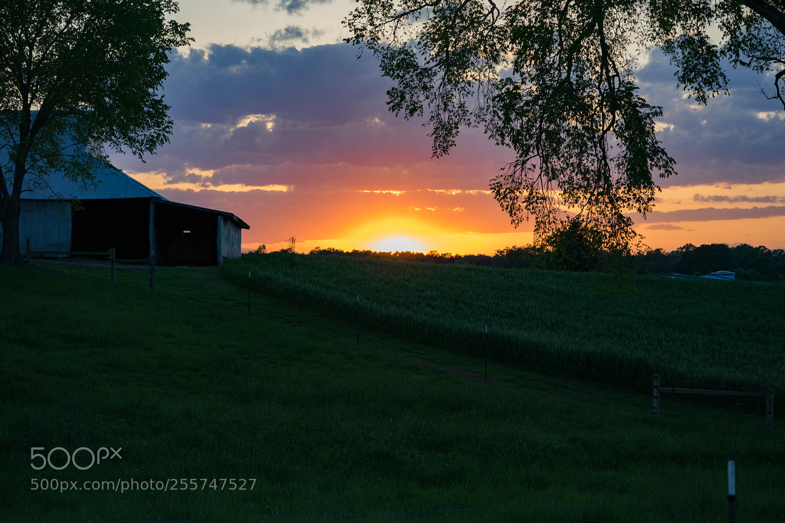 Sony a7 II sample photo. Last light photography