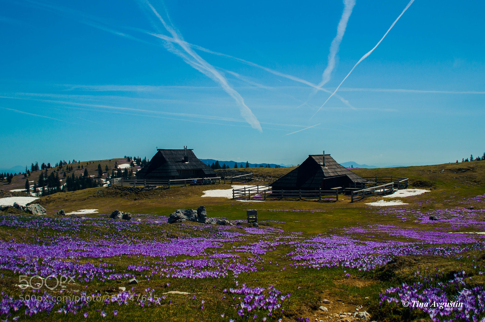 Nikon D3200 sample photo. Spring taking over photography