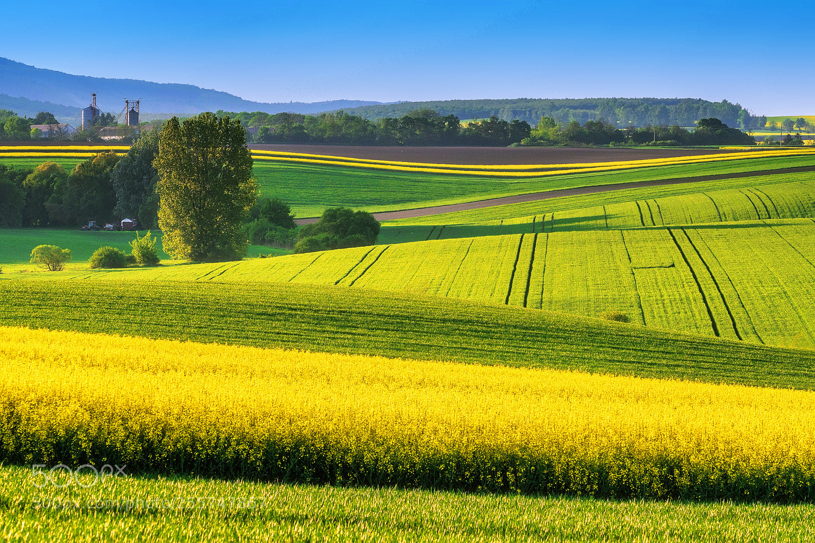 Nikon D500 sample photo. Cultivated land photography