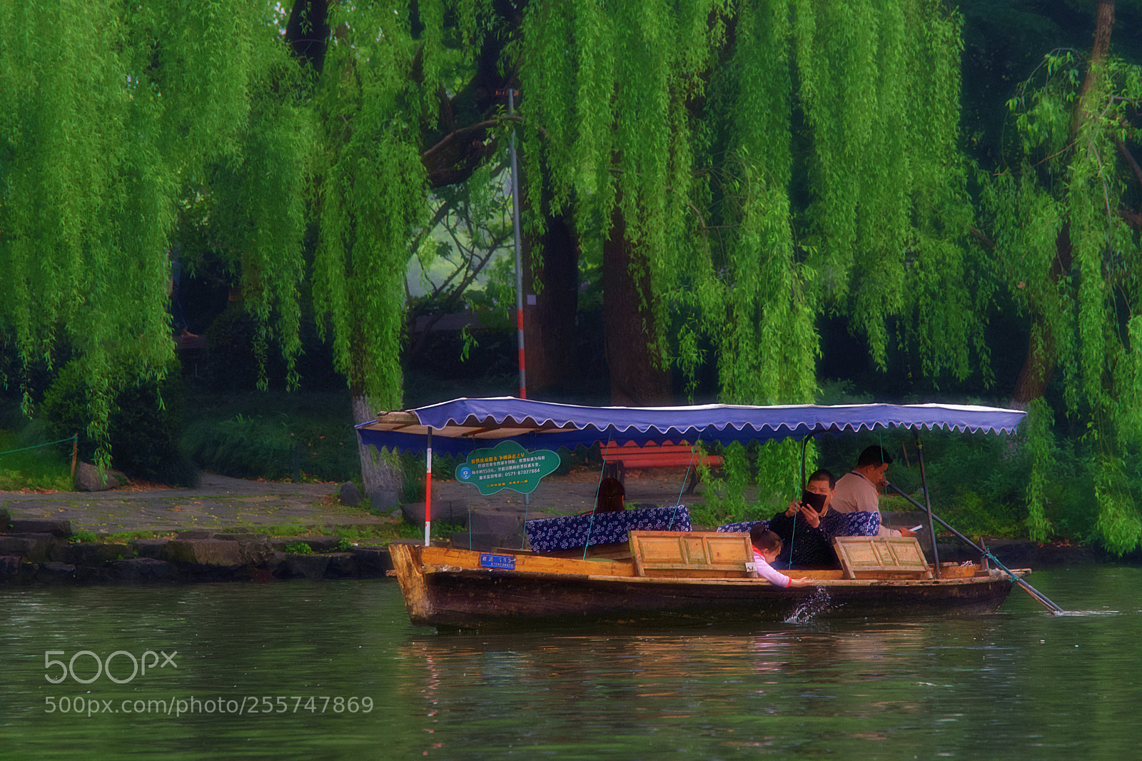 Nikon D7500 sample photo. Beautiful china. photography