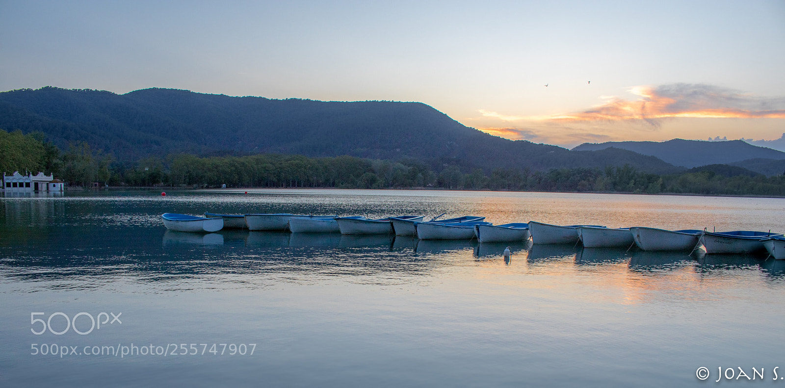 Canon EOS 80D sample photo. Barques daurades photography