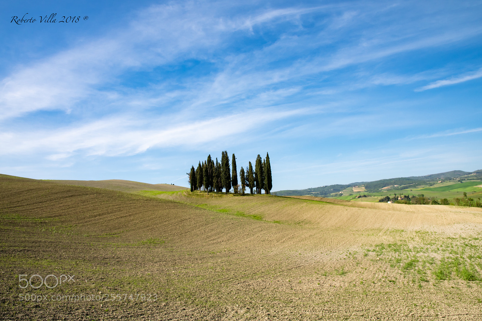Nikon D7500 sample photo. Cipressi in val d photography