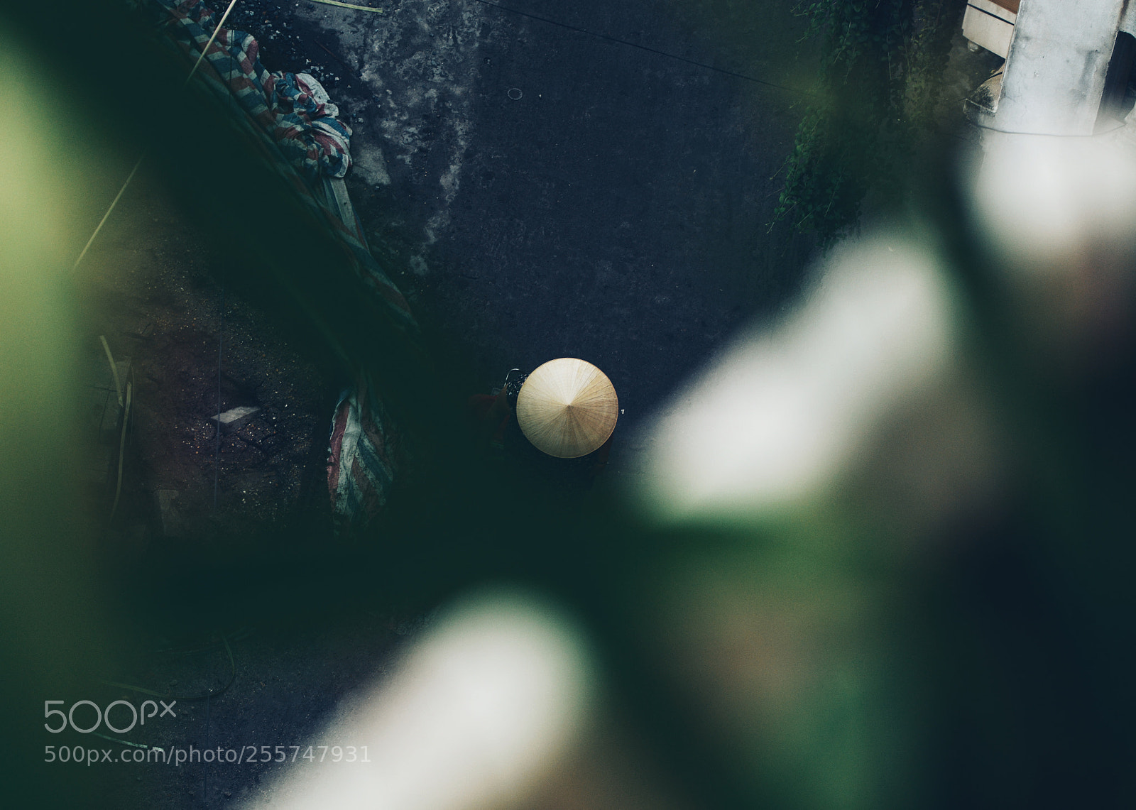 Nikon D7100 sample photo. . photography