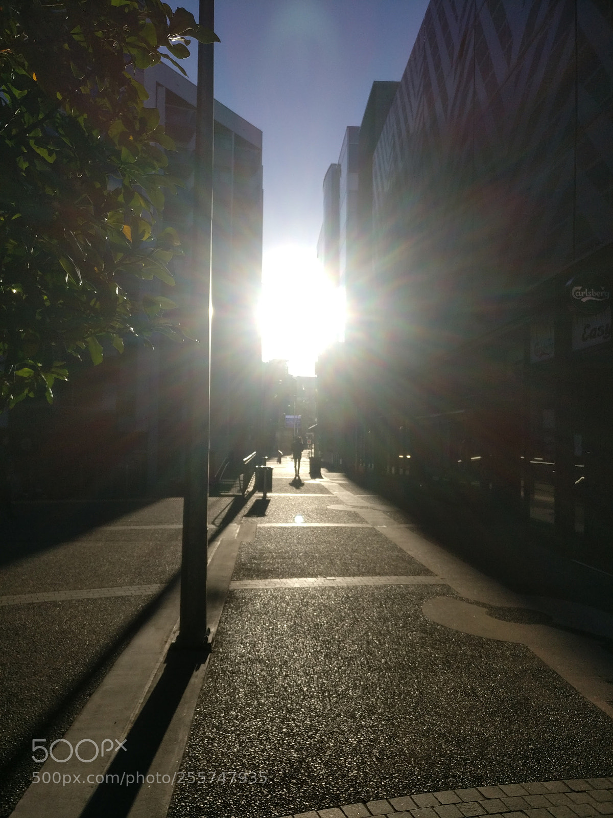 OnePlus A3003 sample photo. Img_20170829_165519.jpg photography