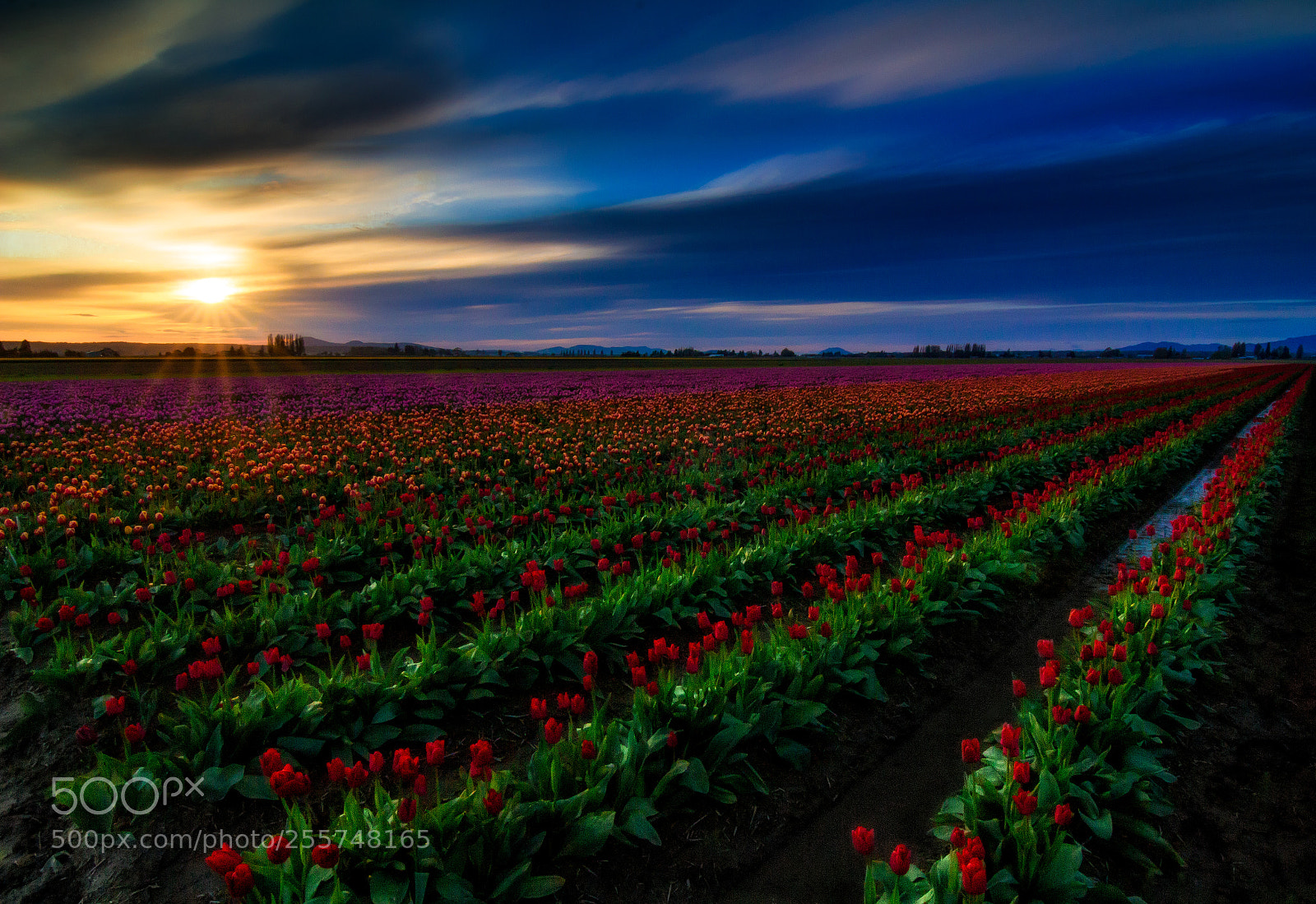 Canon EOS 700D (EOS Rebel T5i / EOS Kiss X7i) sample photo. Skagit valley sunset photography