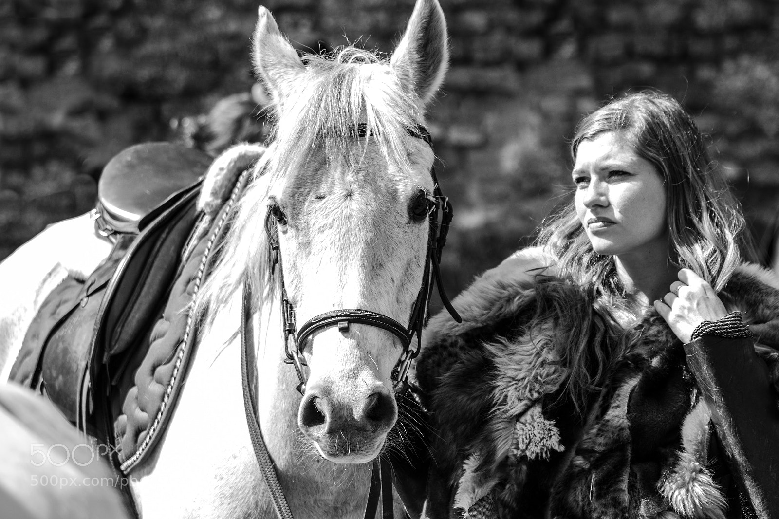 Canon EOS 700D (EOS Rebel T5i / EOS Kiss X7i) sample photo. Horsewoman photography