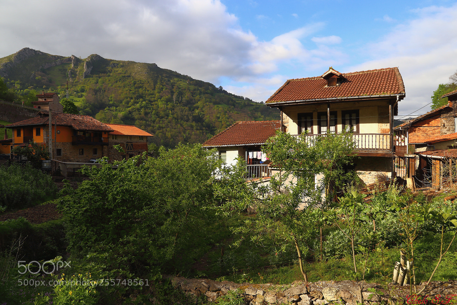 Canon EOS 6D sample photo. Untitled photography