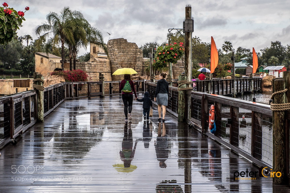 Canon EOS 7D Mark II sample photo. Leisurely stroll with reflection photography