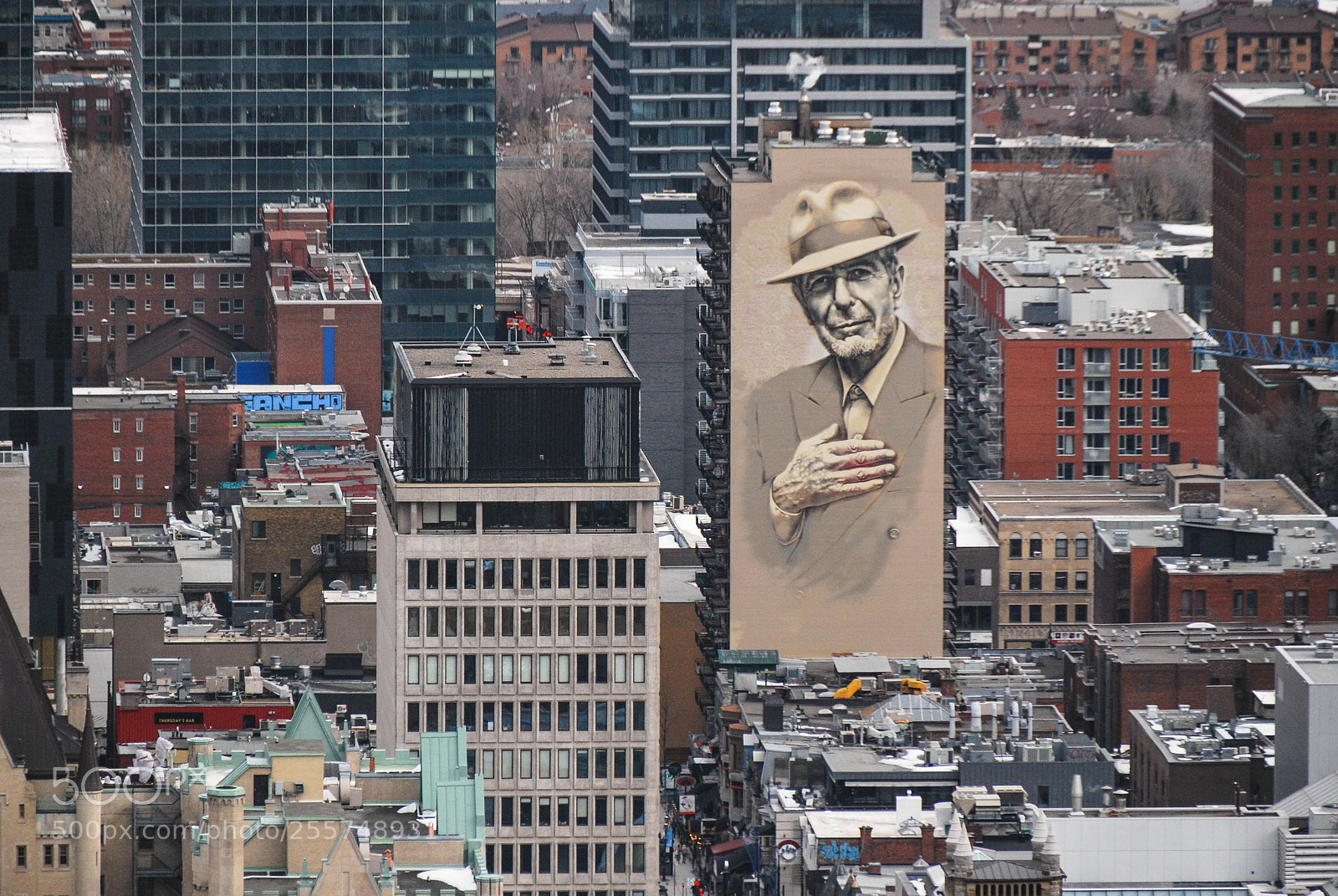 Nikon D60 sample photo. Leonard cohen photography