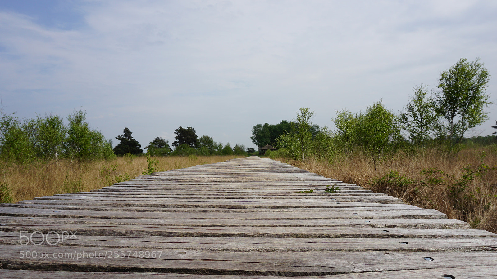 Sony a5100 sample photo. We're on a road photography