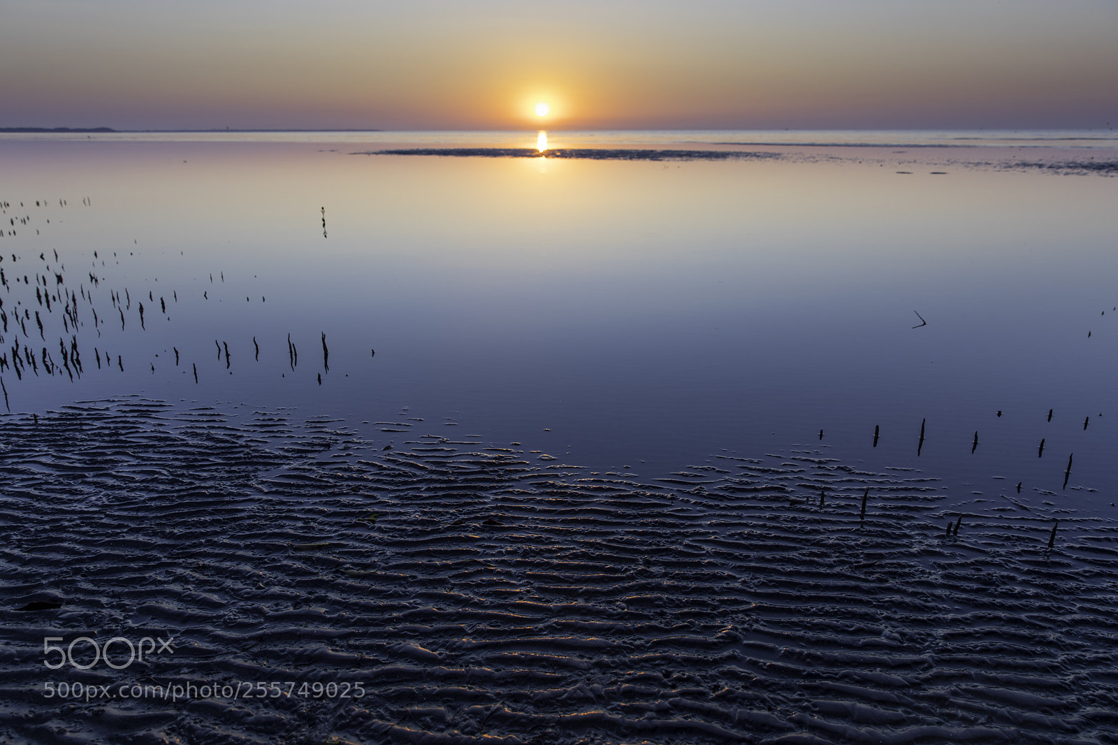 Canon EOS 5D Mark IV sample photo. Calm sunrise in queensland photography