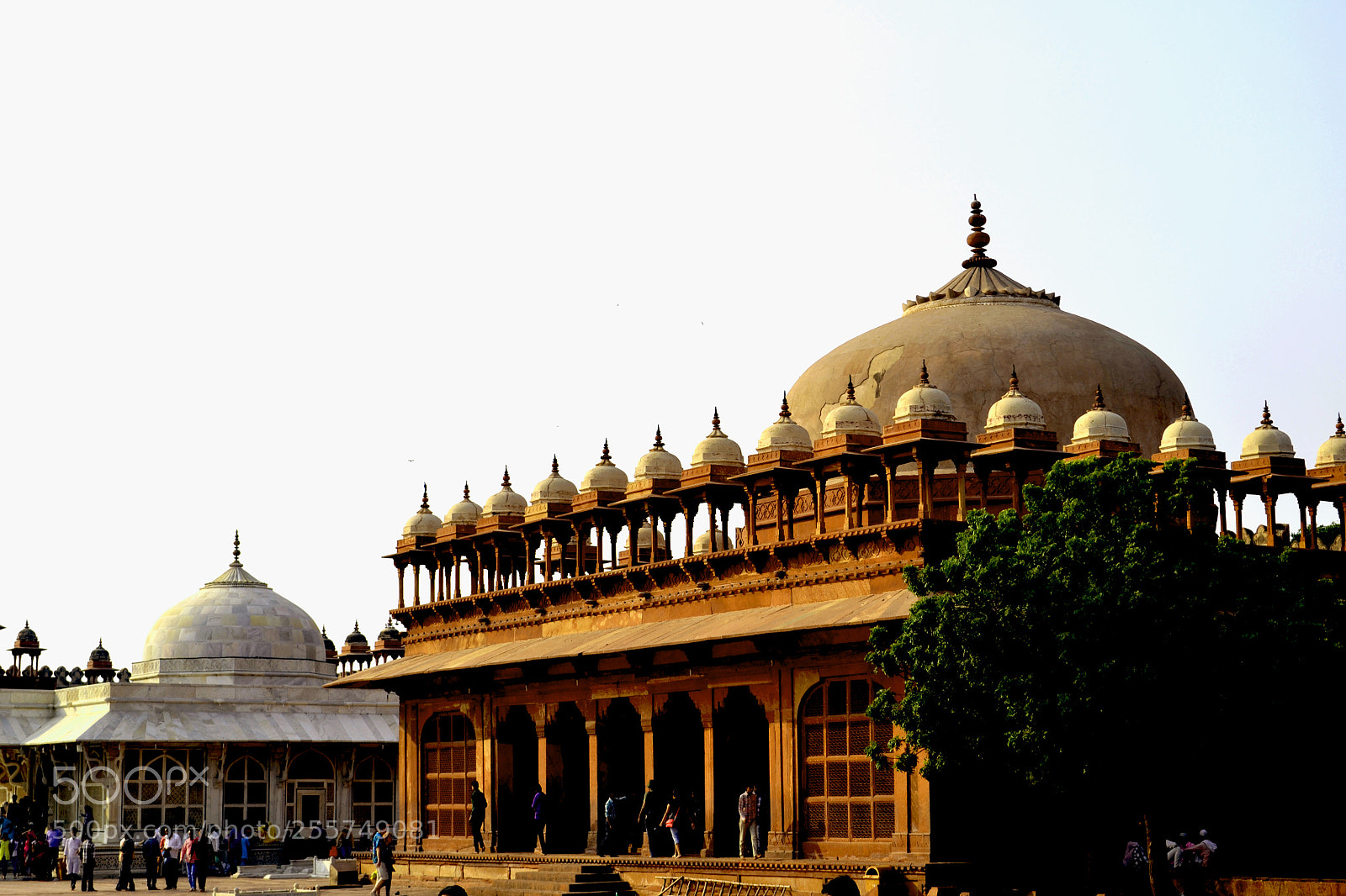 Nikon D3100 sample photo. Fatehpur sikri photography