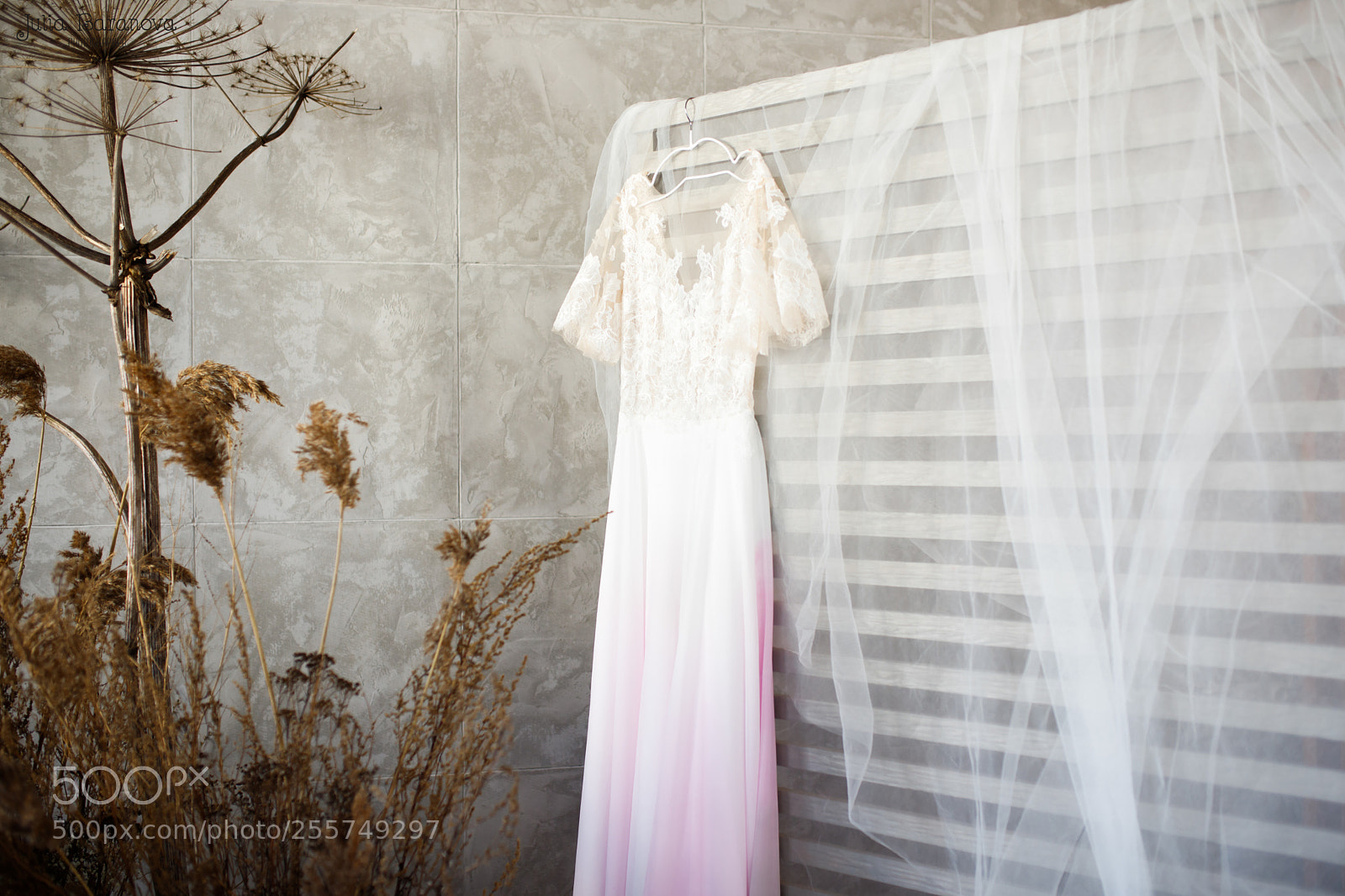 Canon EOS 6D Mark II sample photo. Img photography