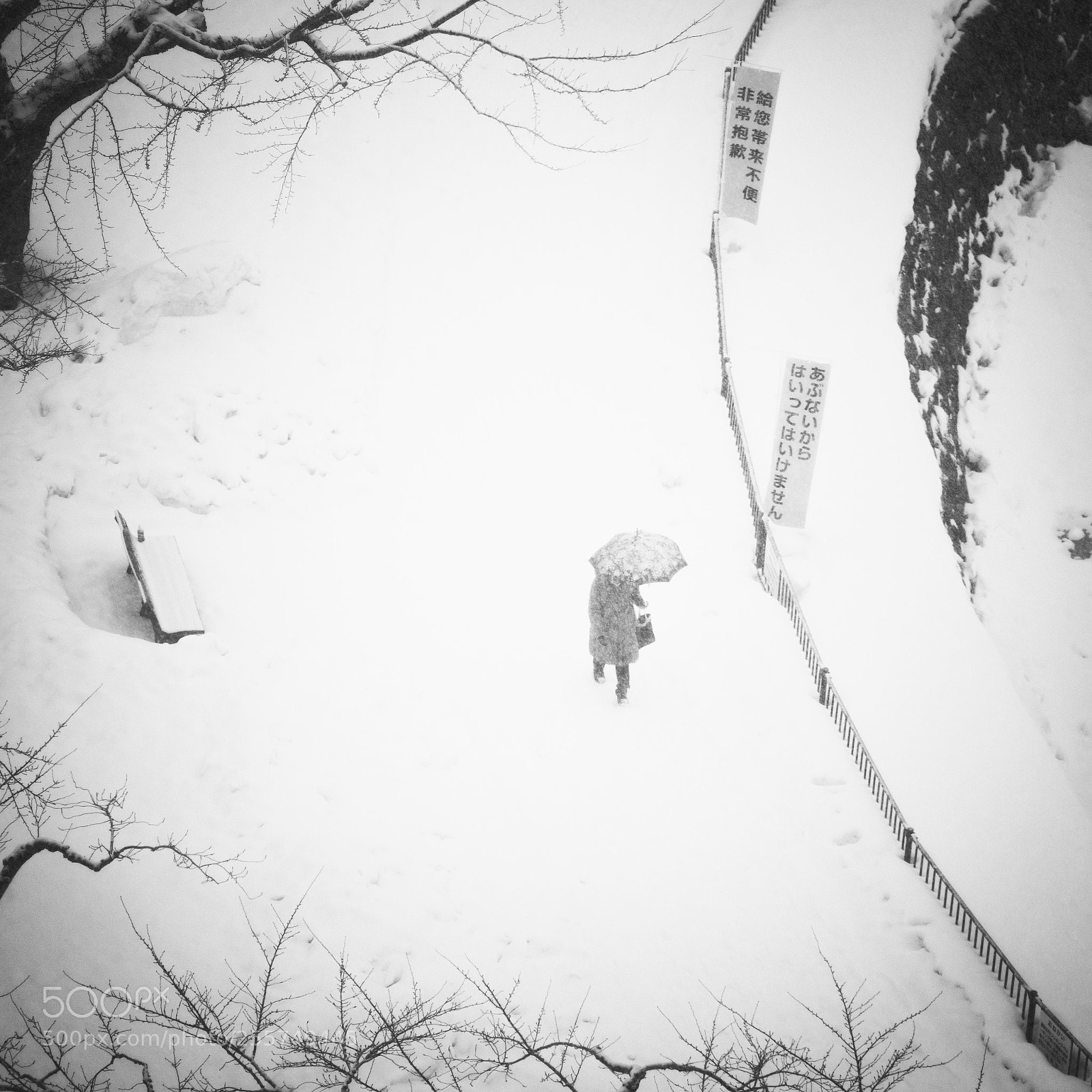 Sony a7R III sample photo. Snow photography