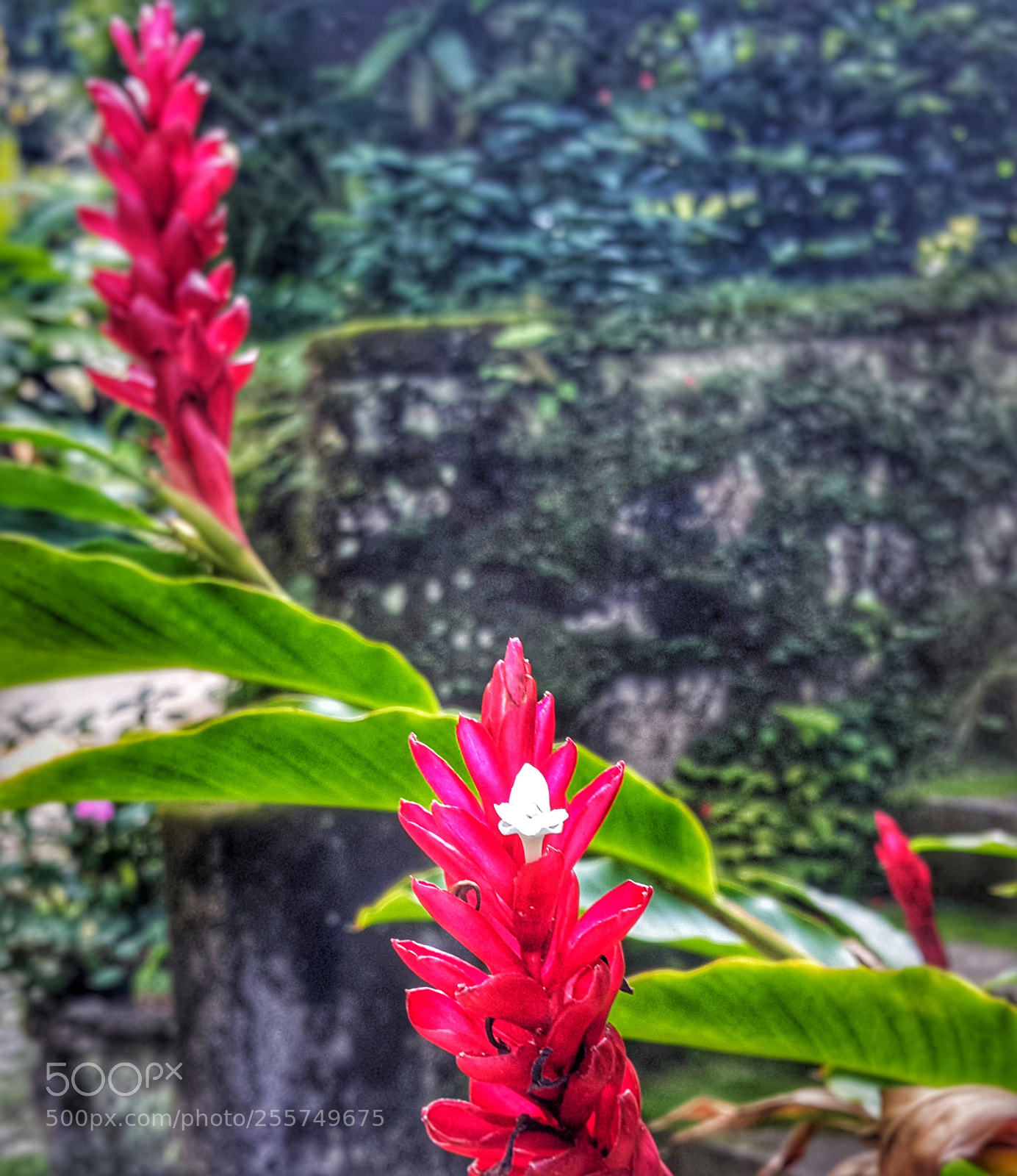 Samsung Galaxy Note4 sample photo. Untitled photography