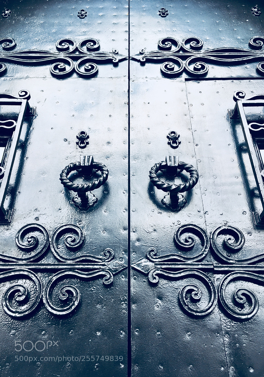 Apple iPhone SE sample photo. Untitled photography