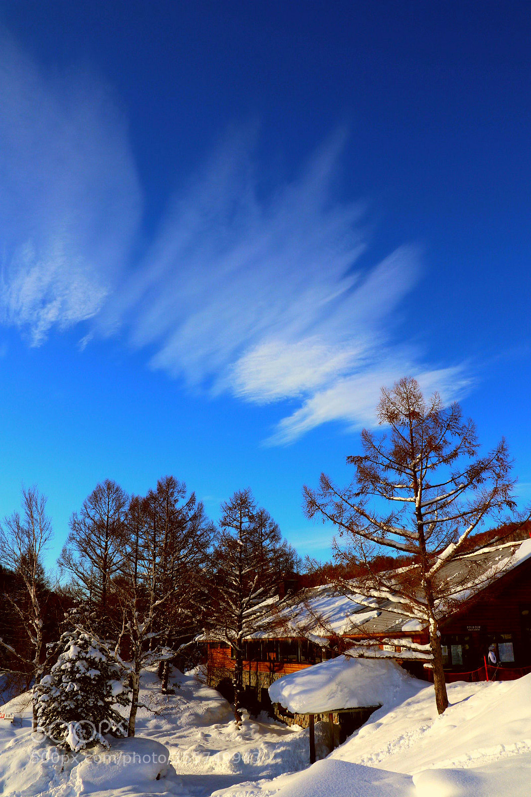 Canon EOS M5 sample photo. Sky as palette photography