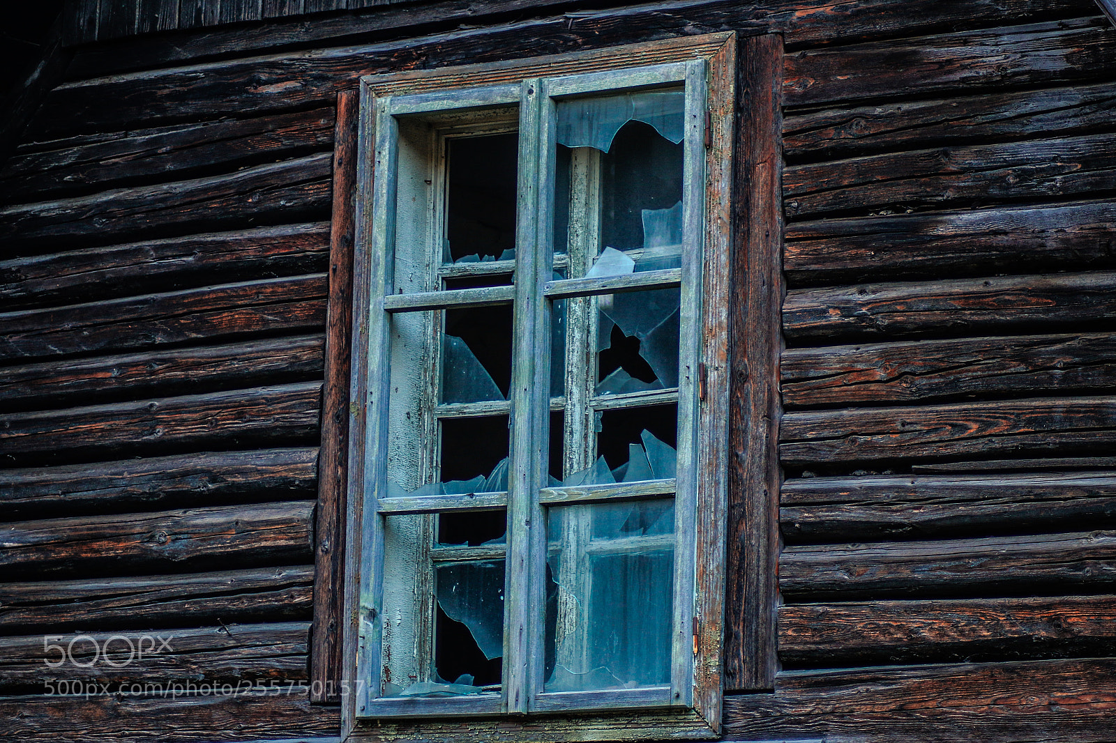 Canon EOS 70D sample photo. Untitled photography