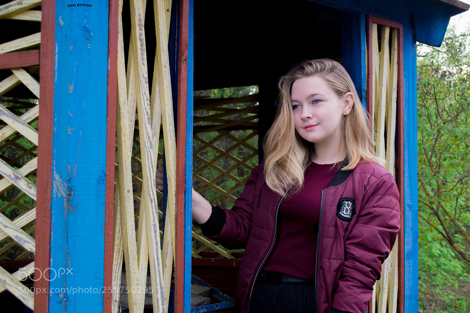 Nikon D3300 sample photo. Девушка в бесетке photography