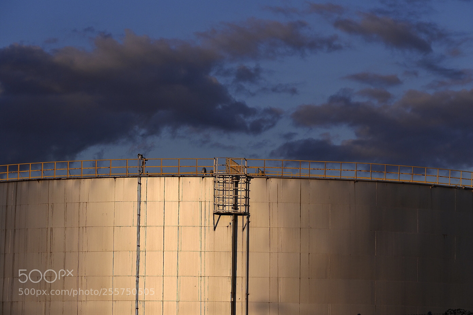 Nikon 1 J5 sample photo. An oil tank reflecting photography