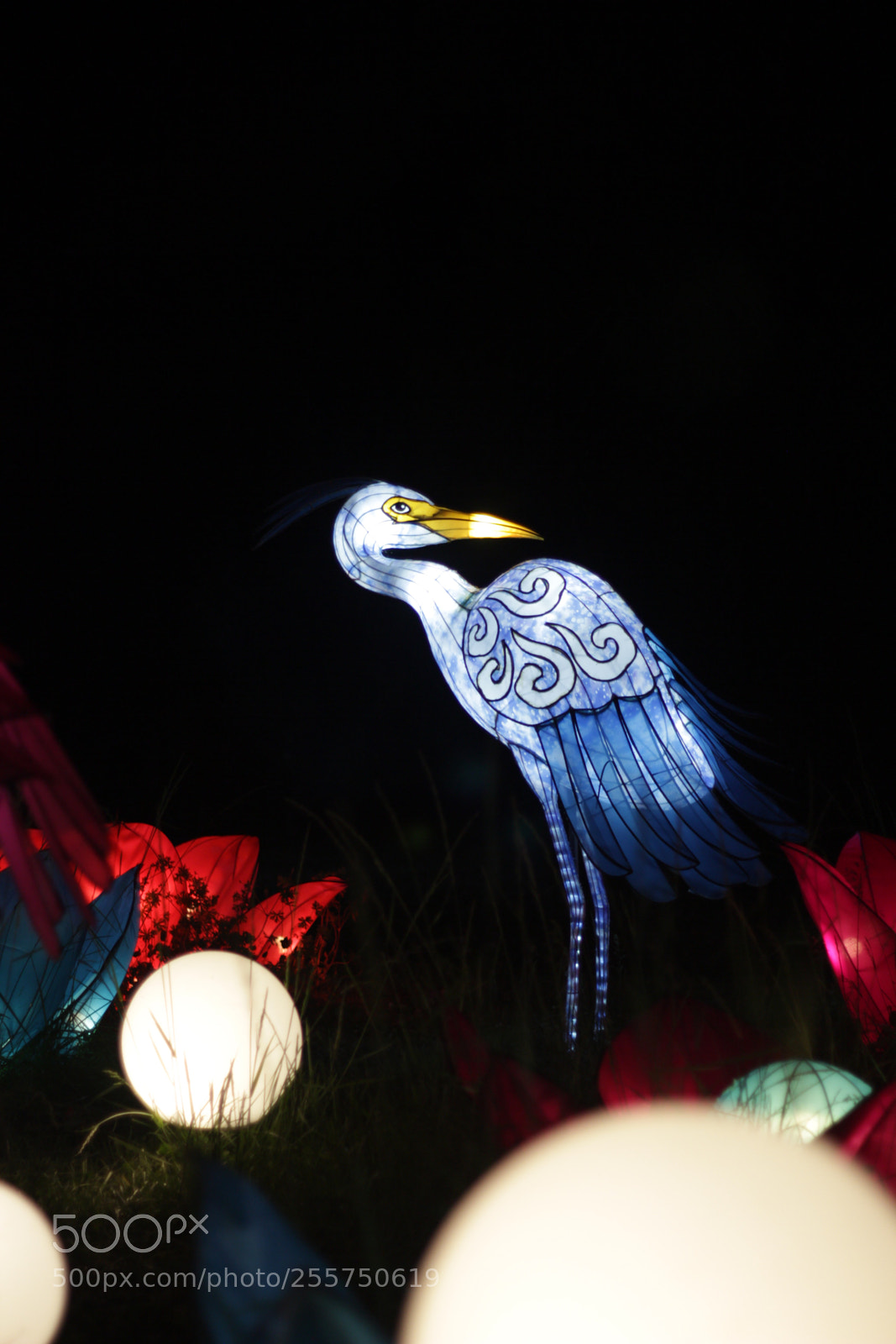 Canon EOS 60D sample photo. Night bird photography