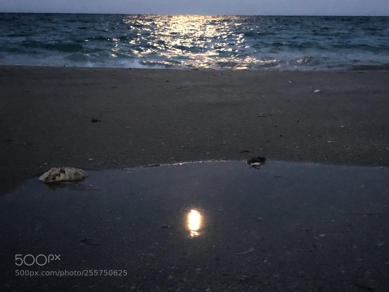 Apple iPhone 8 Plus sample photo. Moon over atlantic  photography