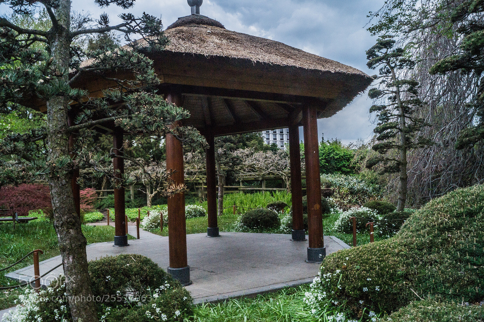 Sony SLT-A58 sample photo. Chinese garden photography