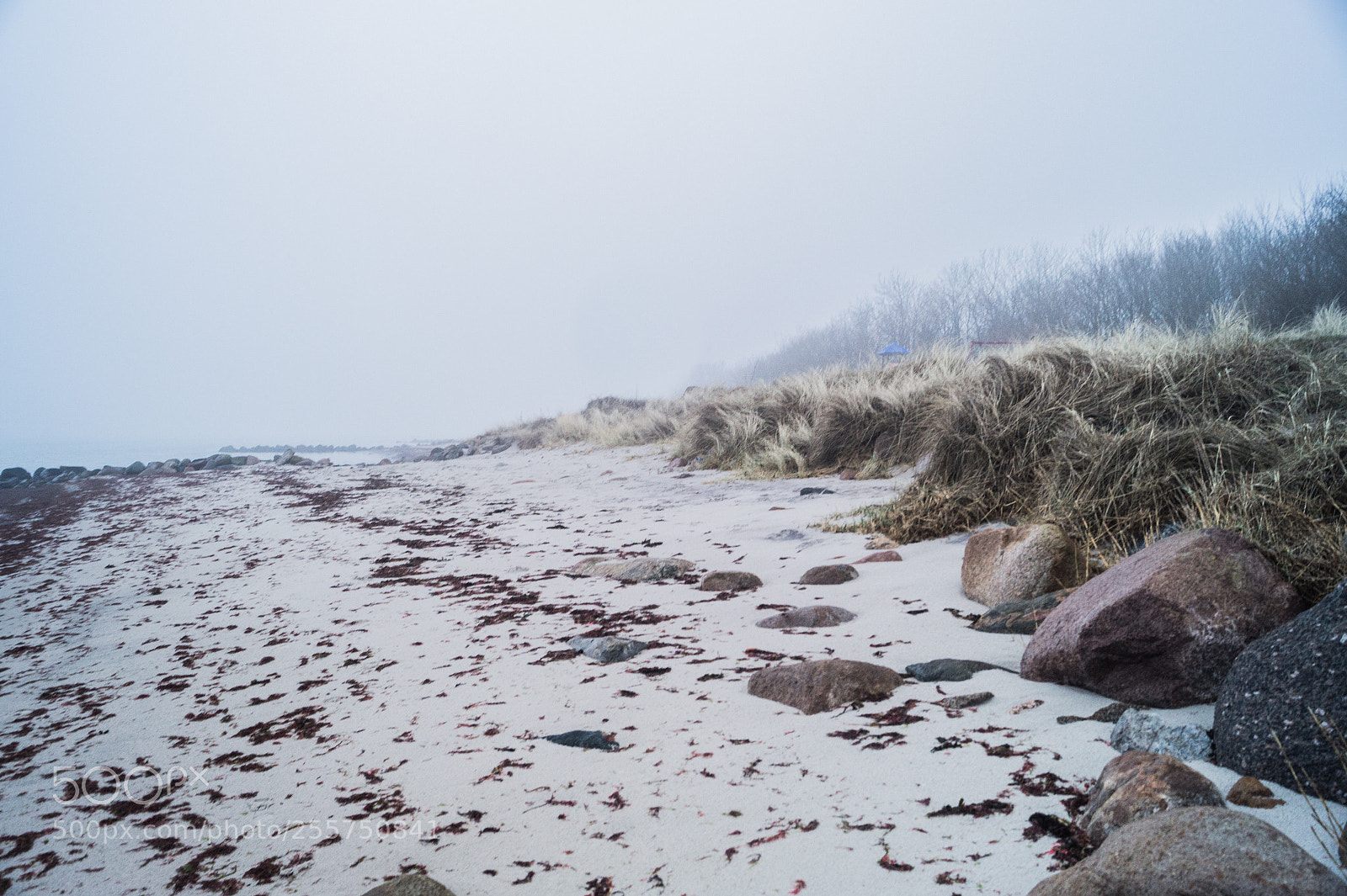 Sony SLT-A58 sample photo. Fog photography
