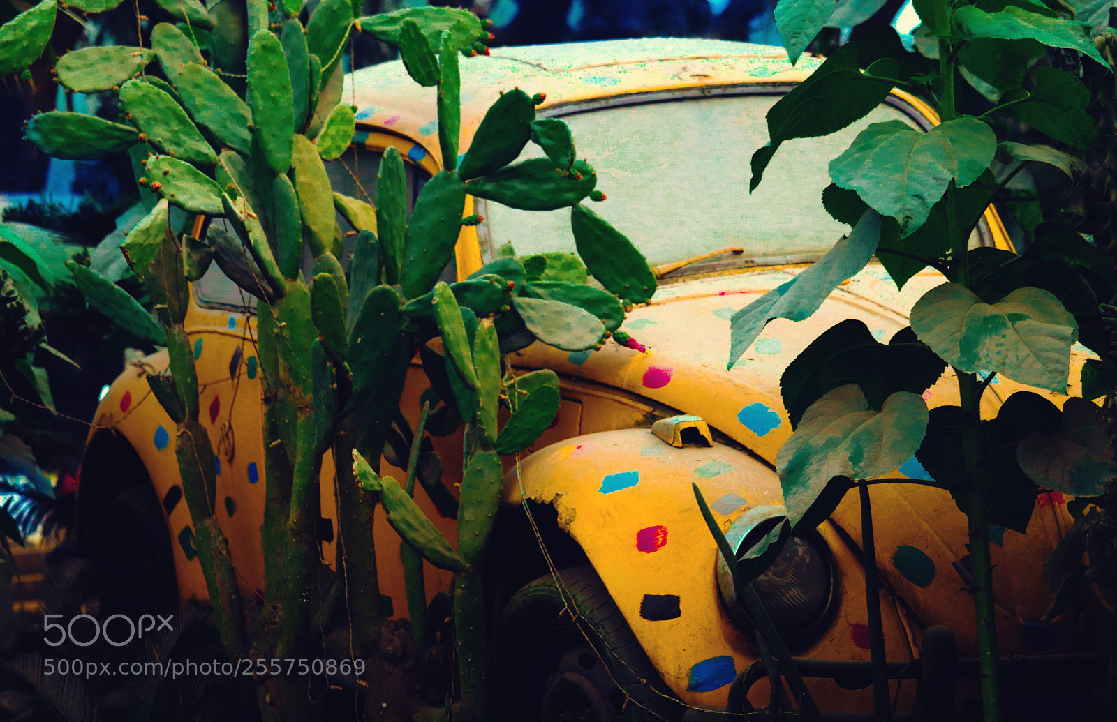 Canon EOS 77D (EOS 9000D / EOS 770D) sample photo. Untitled photography