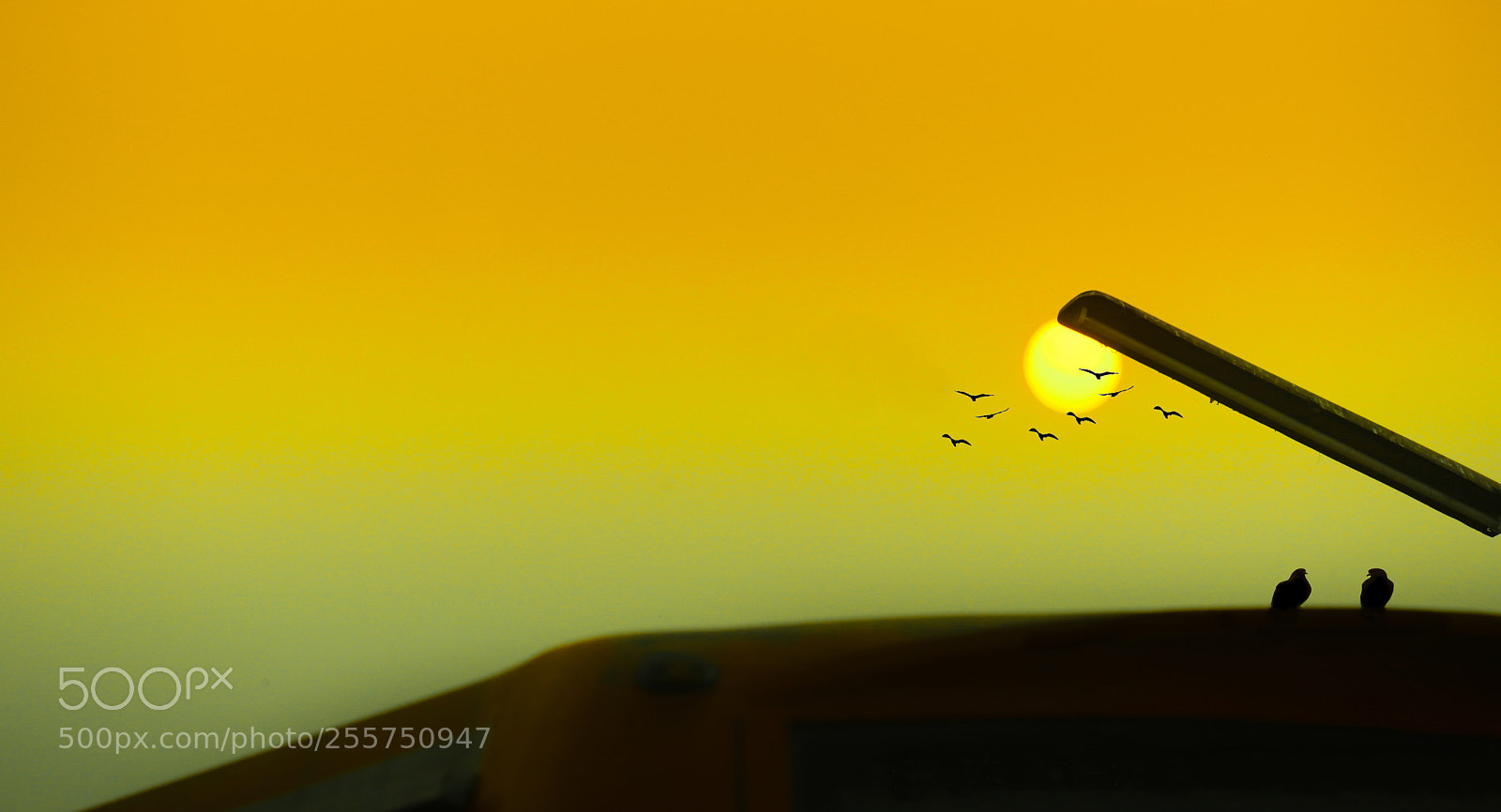 Canon EOS 77D (EOS 9000D / EOS 770D) sample photo. Untitled photography