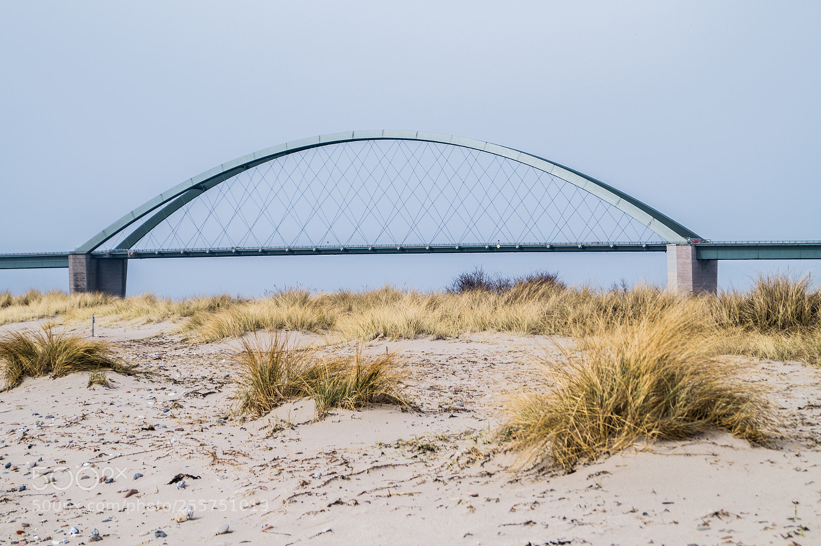 Sony SLT-A58 sample photo. Bridge photography
