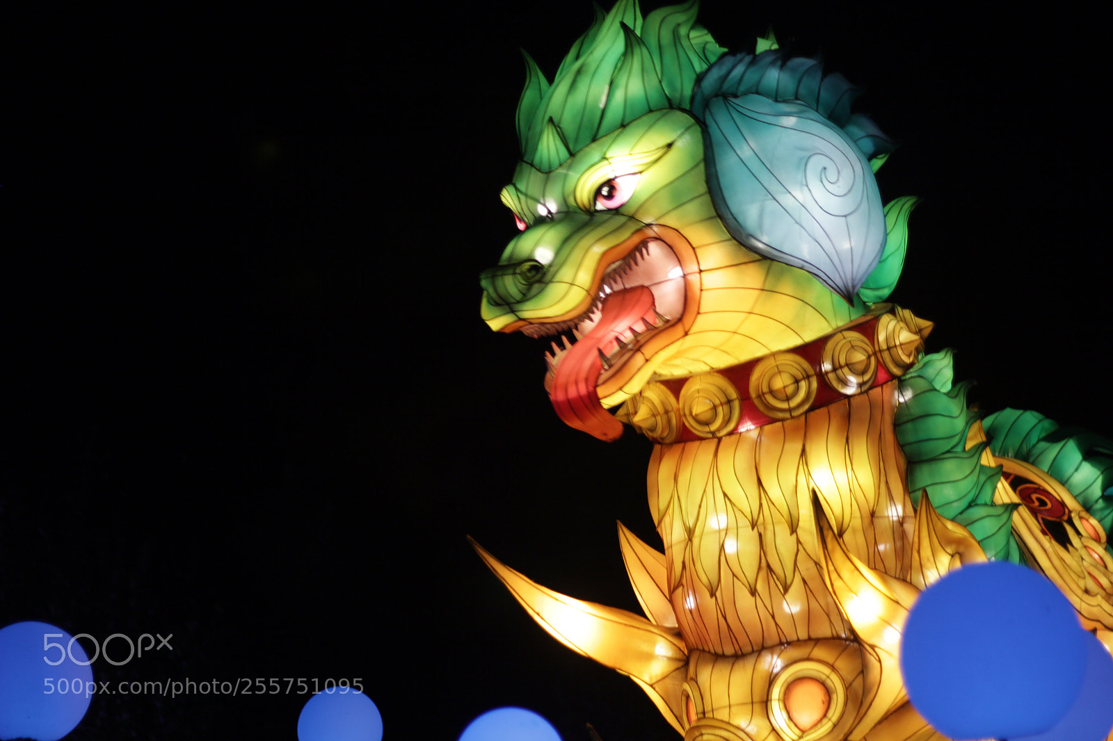 Canon EOS 60D sample photo. The watchful lion photography