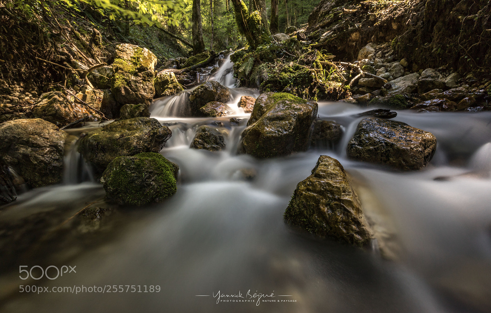 Canon EOS 6D Mark II sample photo. Long exposure in chartreuse photography