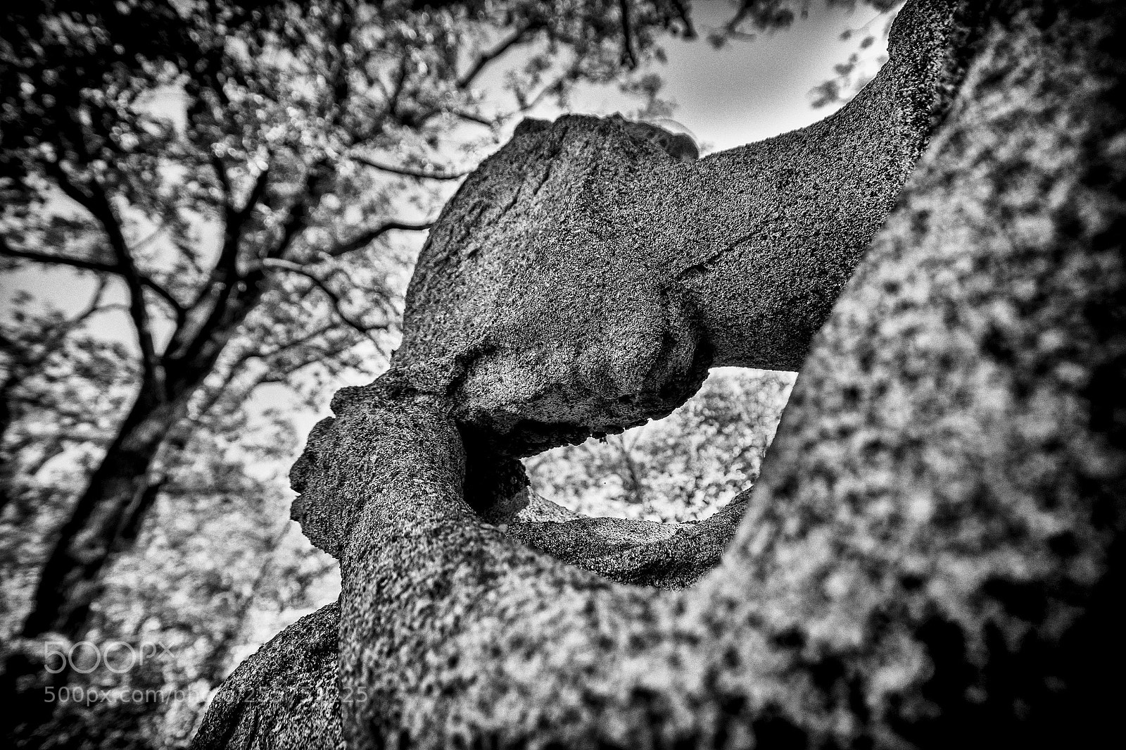 Sony SLT-A58 sample photo. Mourning photography